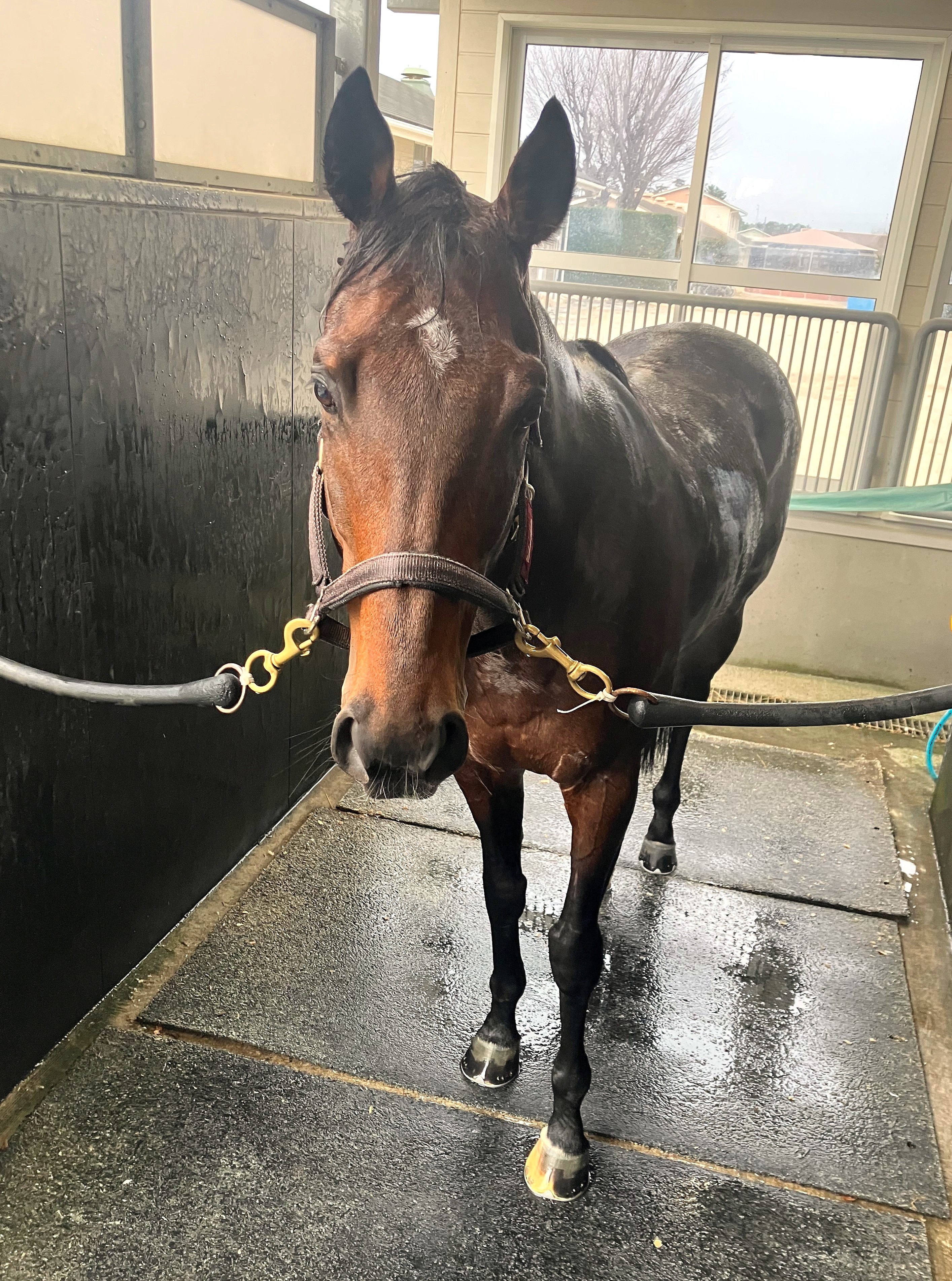 画像サムネイル