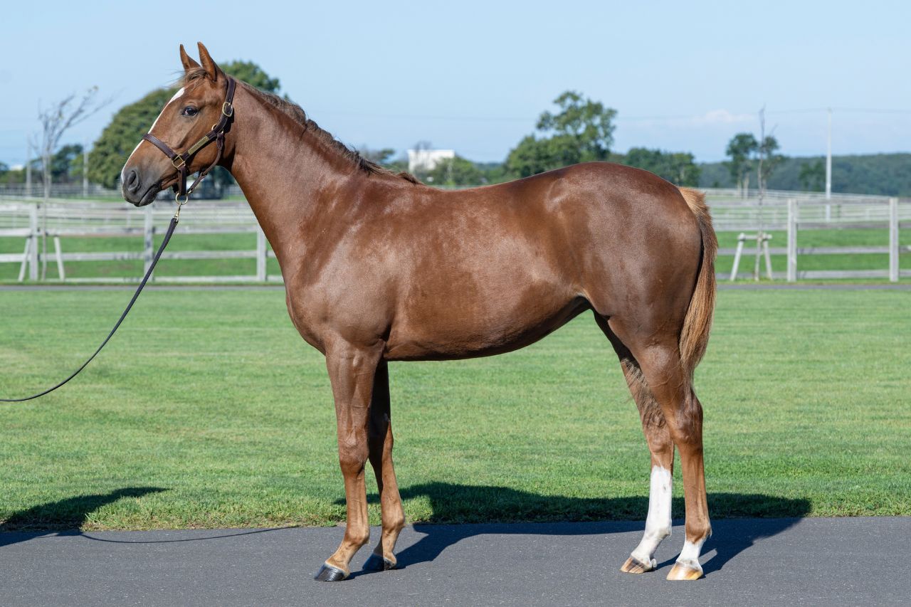 画像サムネイル