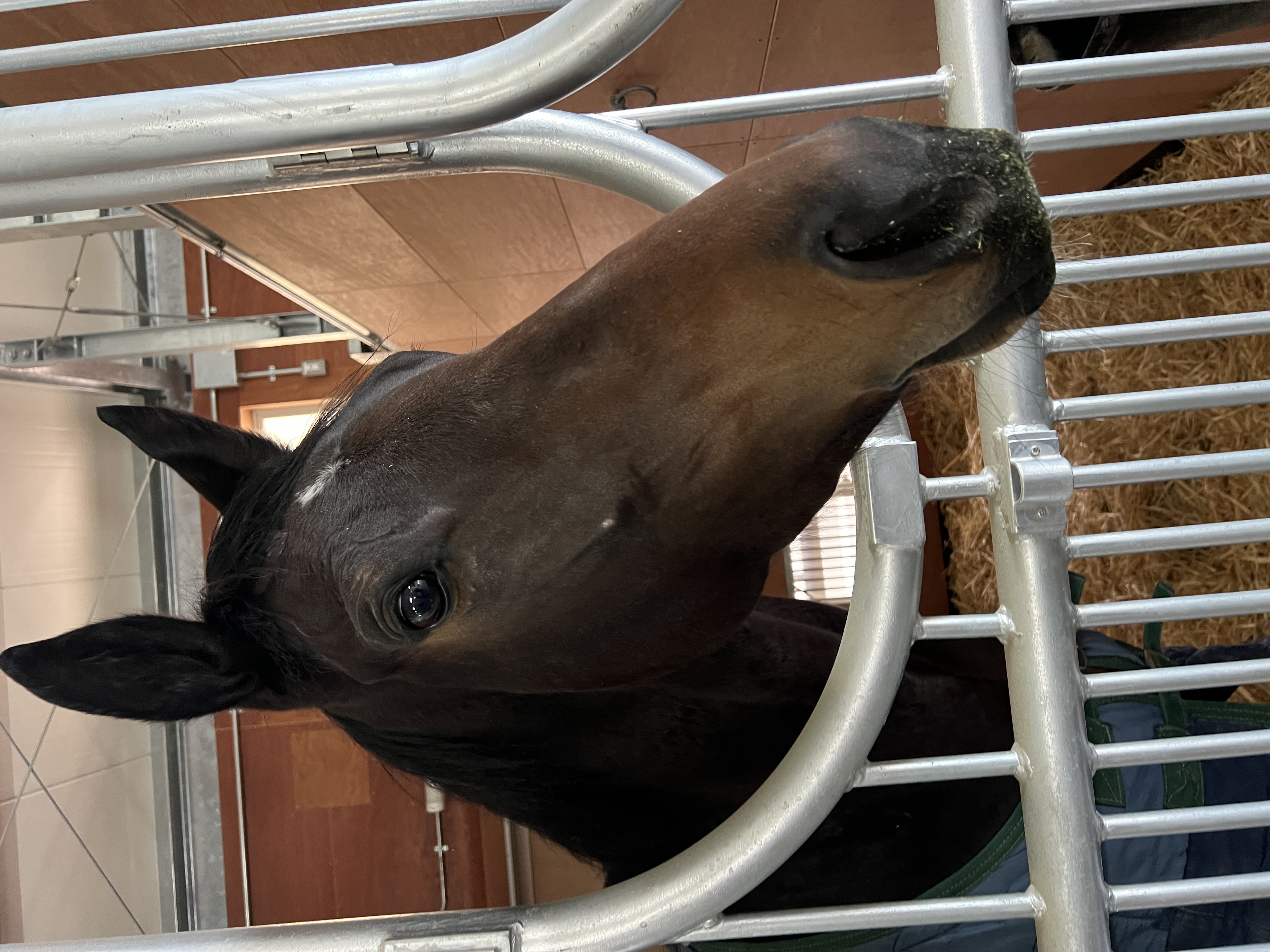 画像サムネイル