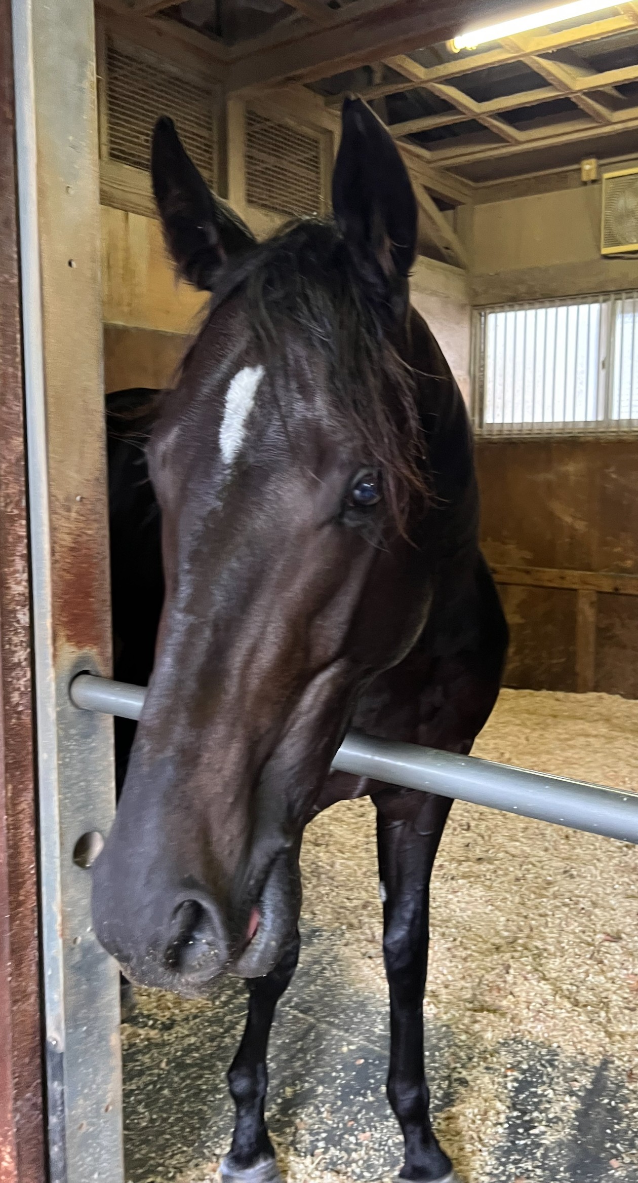 画像サムネイル