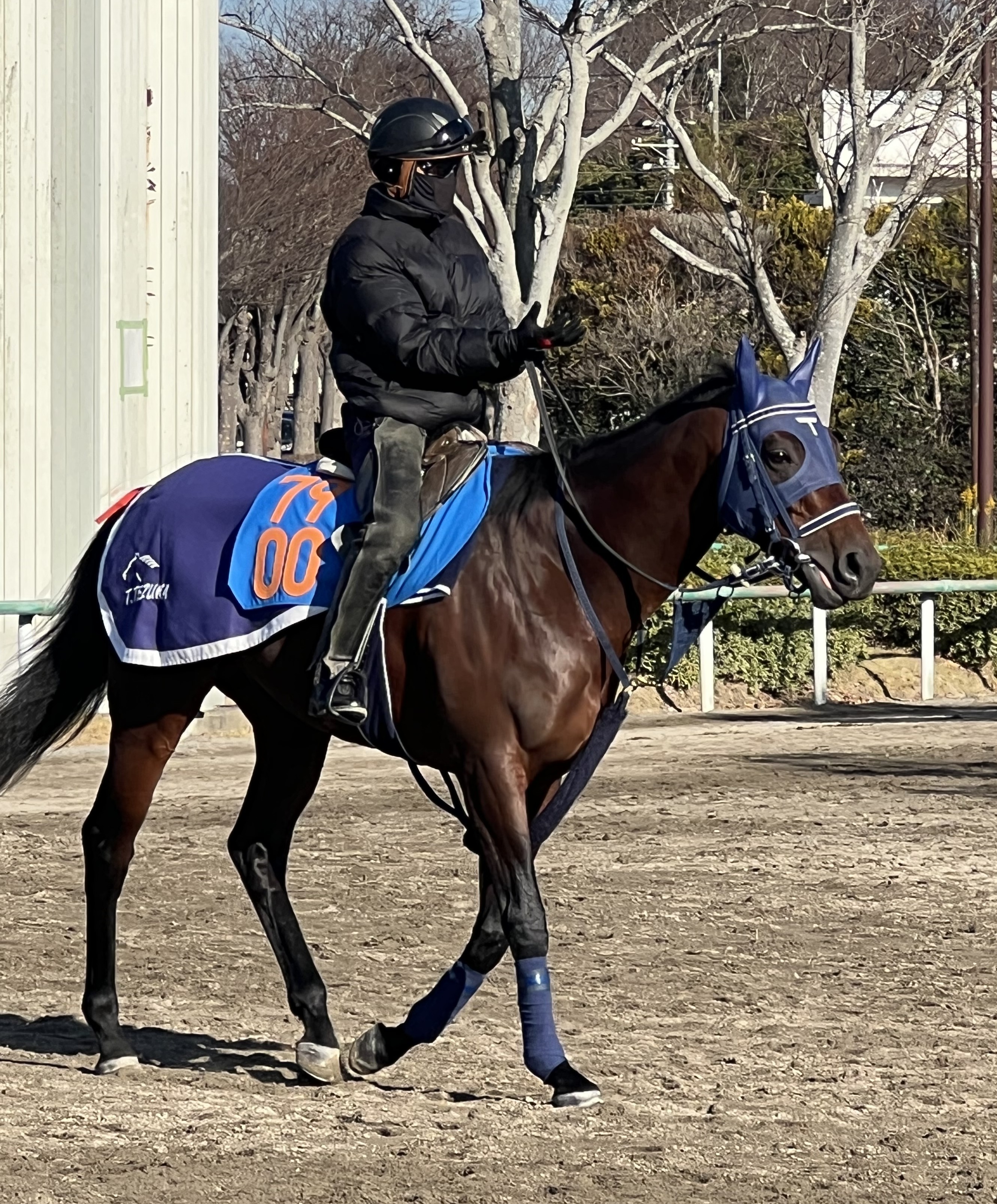 画像サムネイル