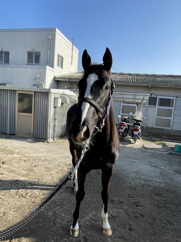 画像サムネイル