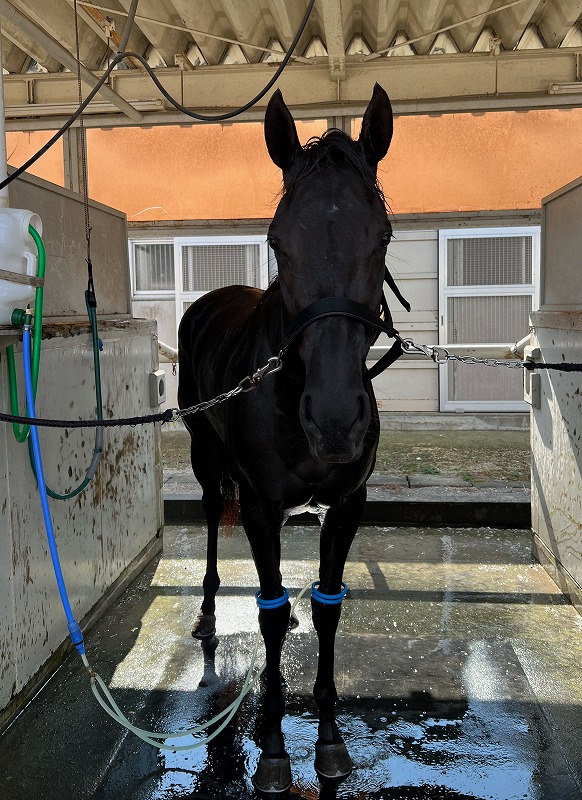 画像サムネイル