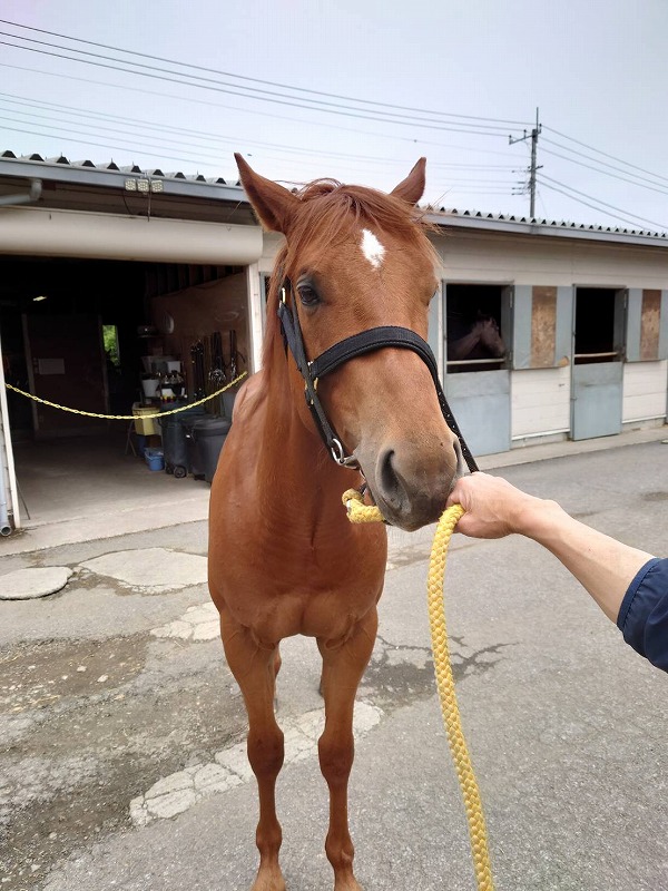 画像サムネイル