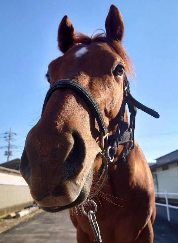画像サムネイル