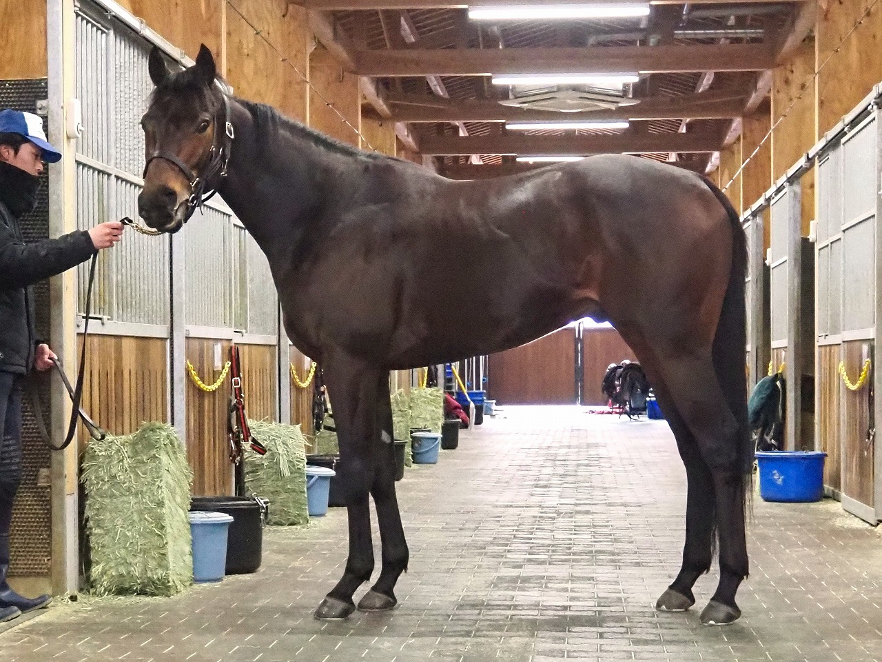 画像サムネイル