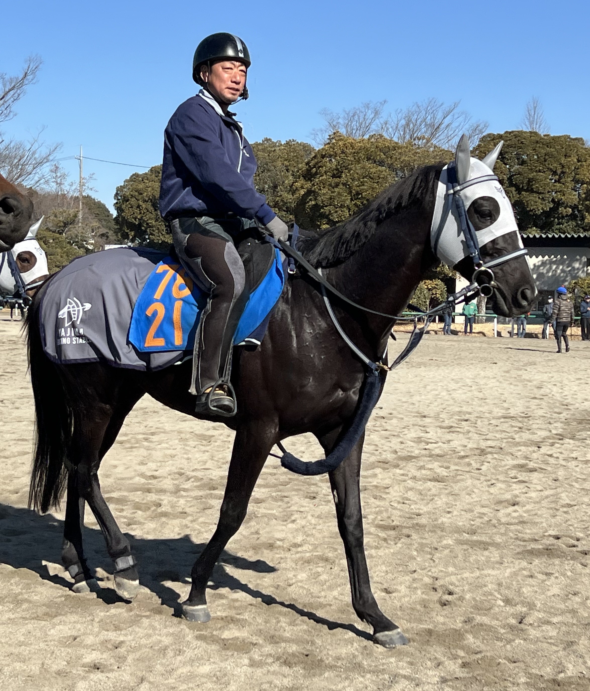 画像サムネイル