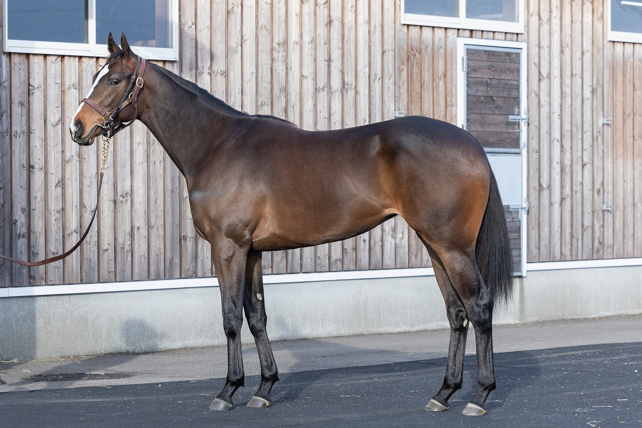 画像サムネイル