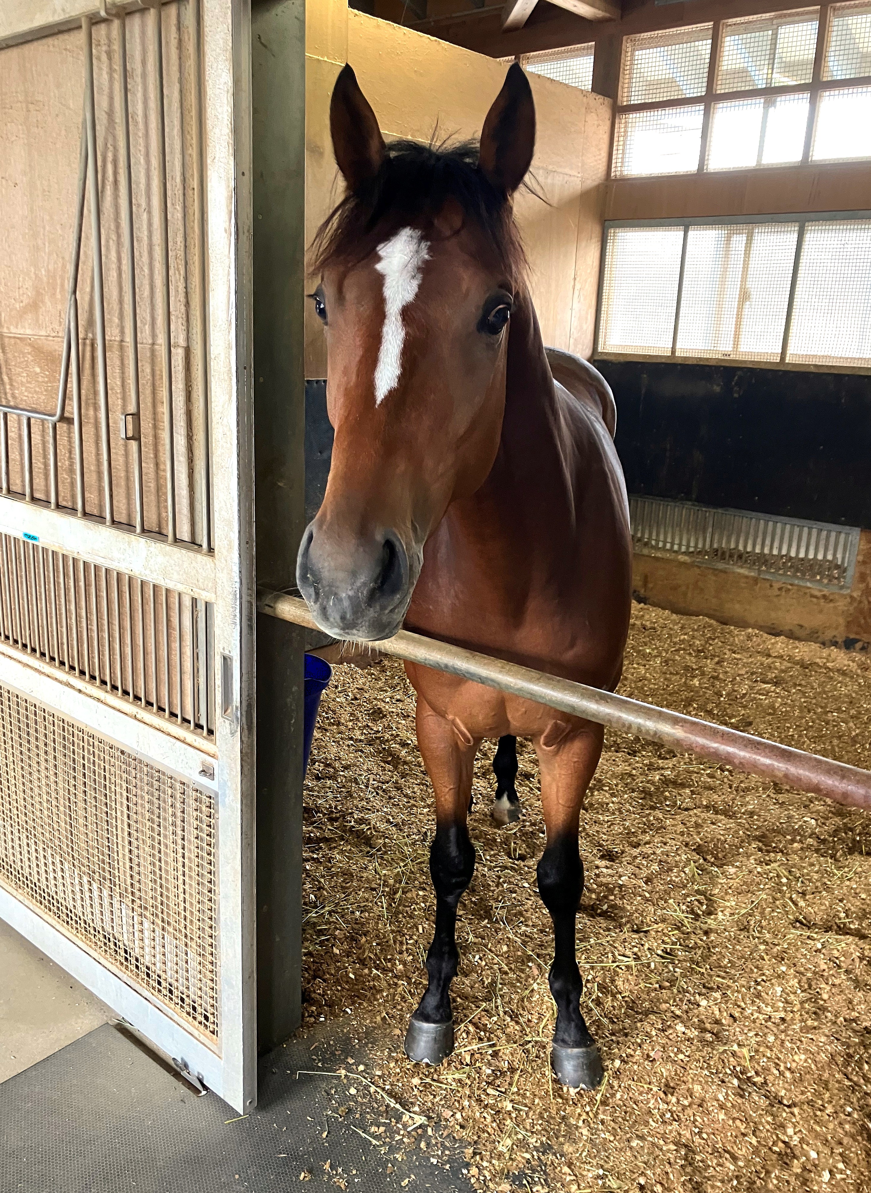 画像サムネイル