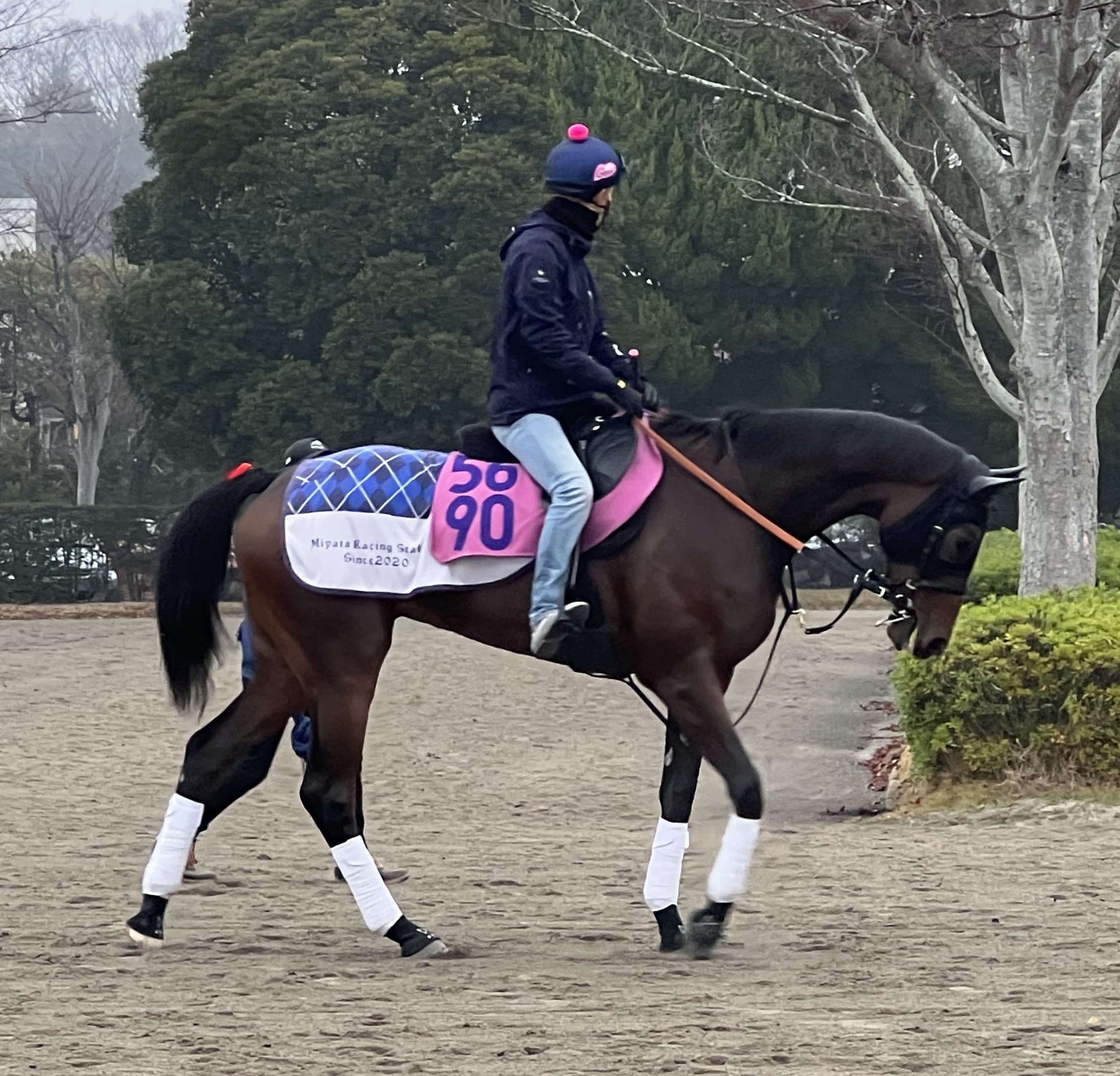 画像サムネイル