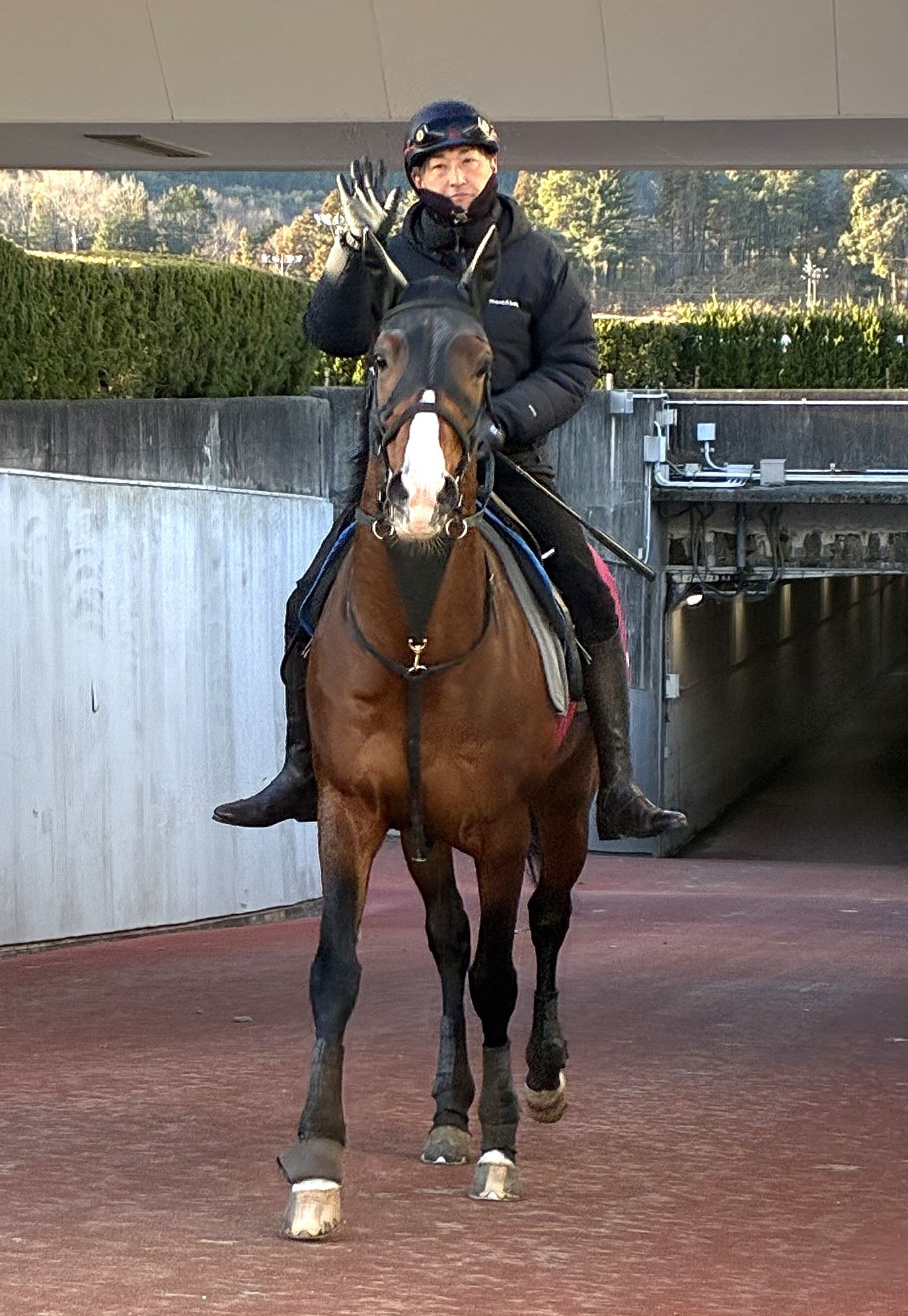 画像サムネイル