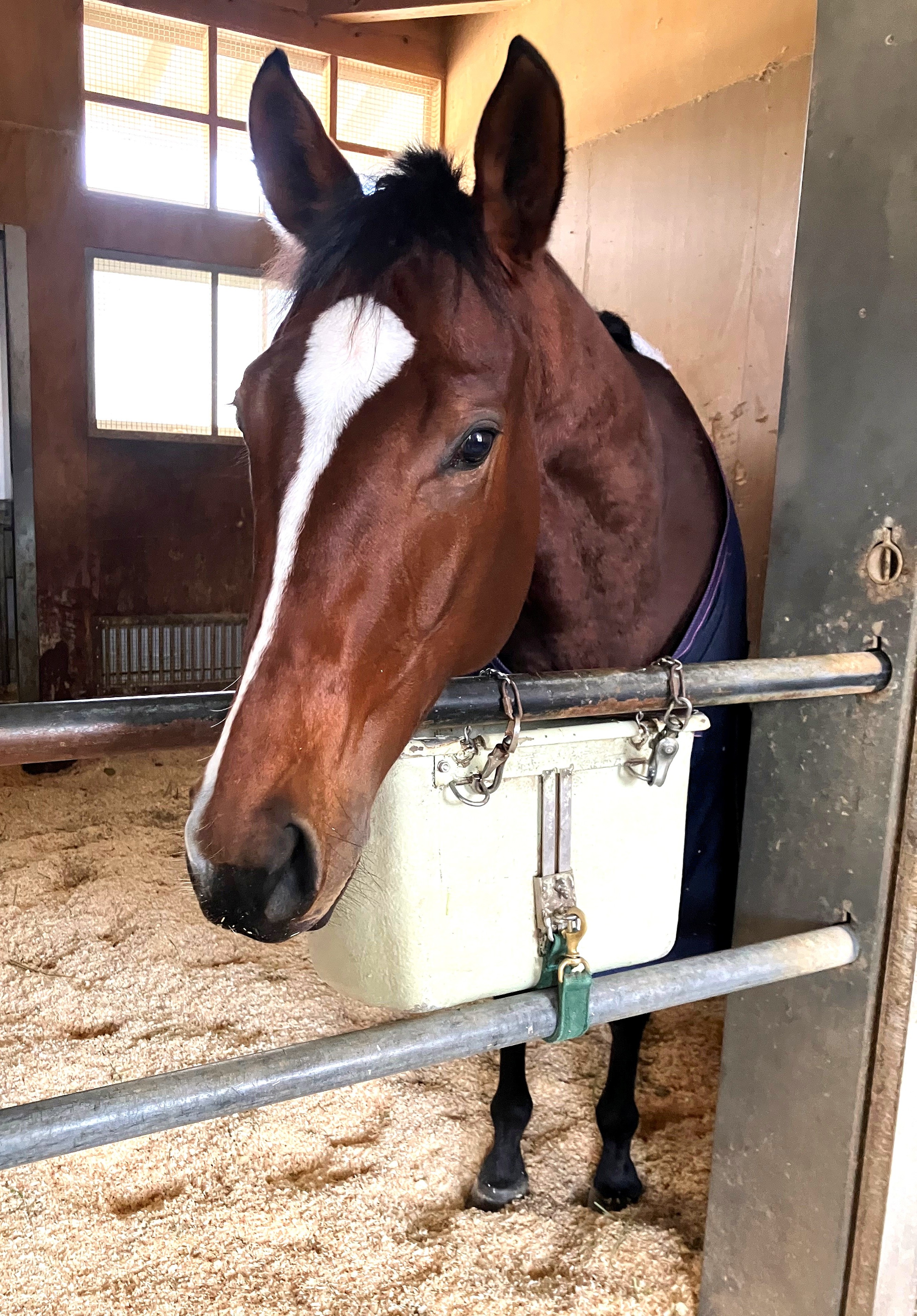 画像サムネイル