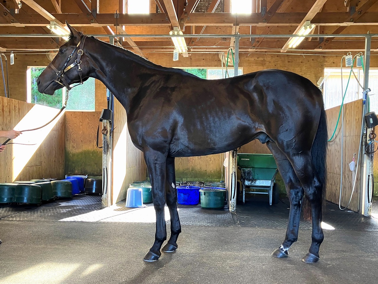 画像サムネイル