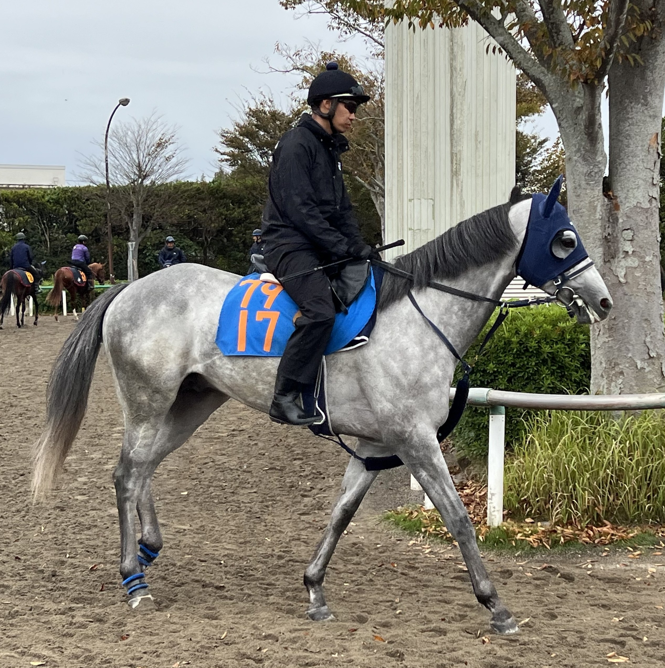 画像サムネイル