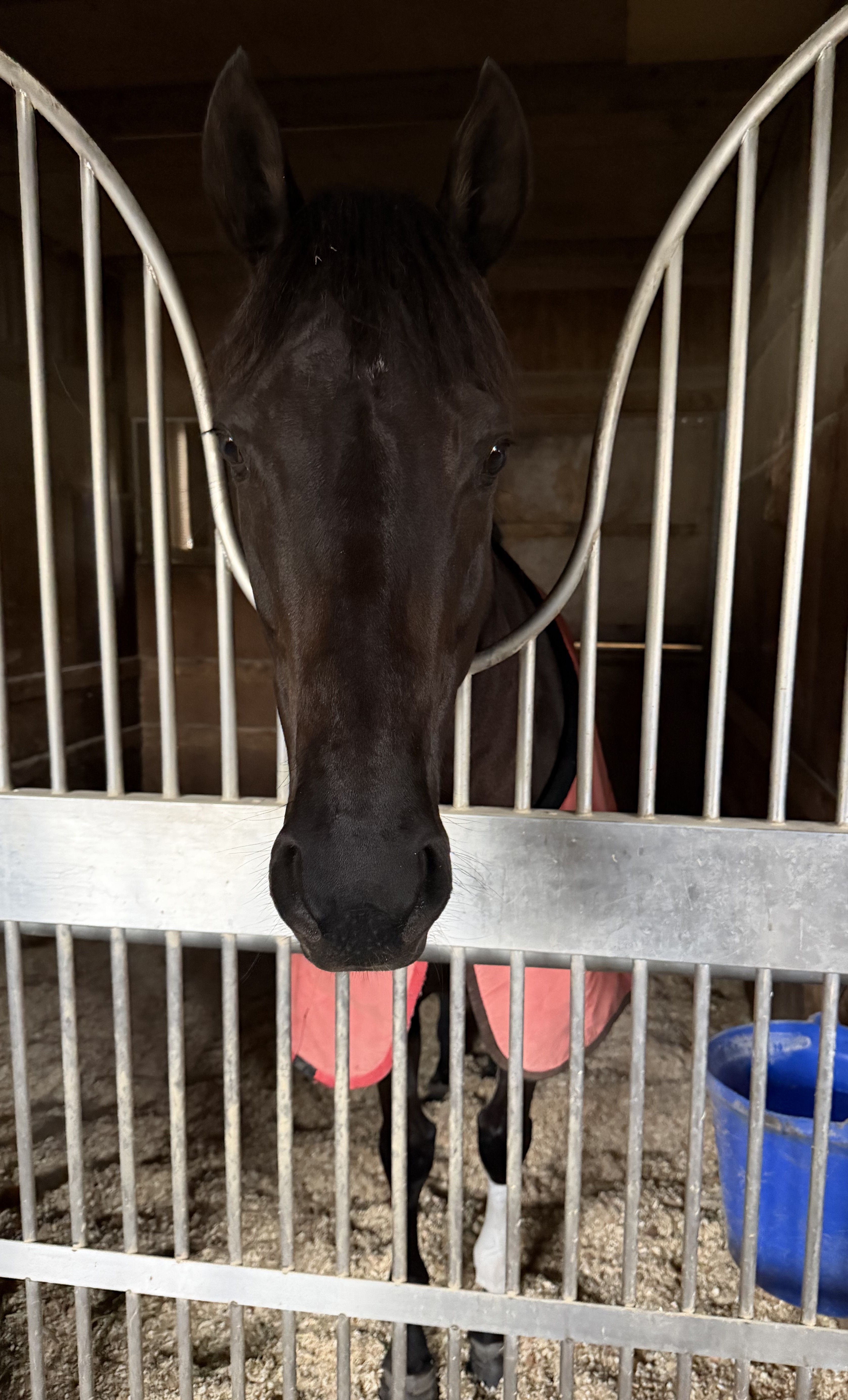 画像サムネイル