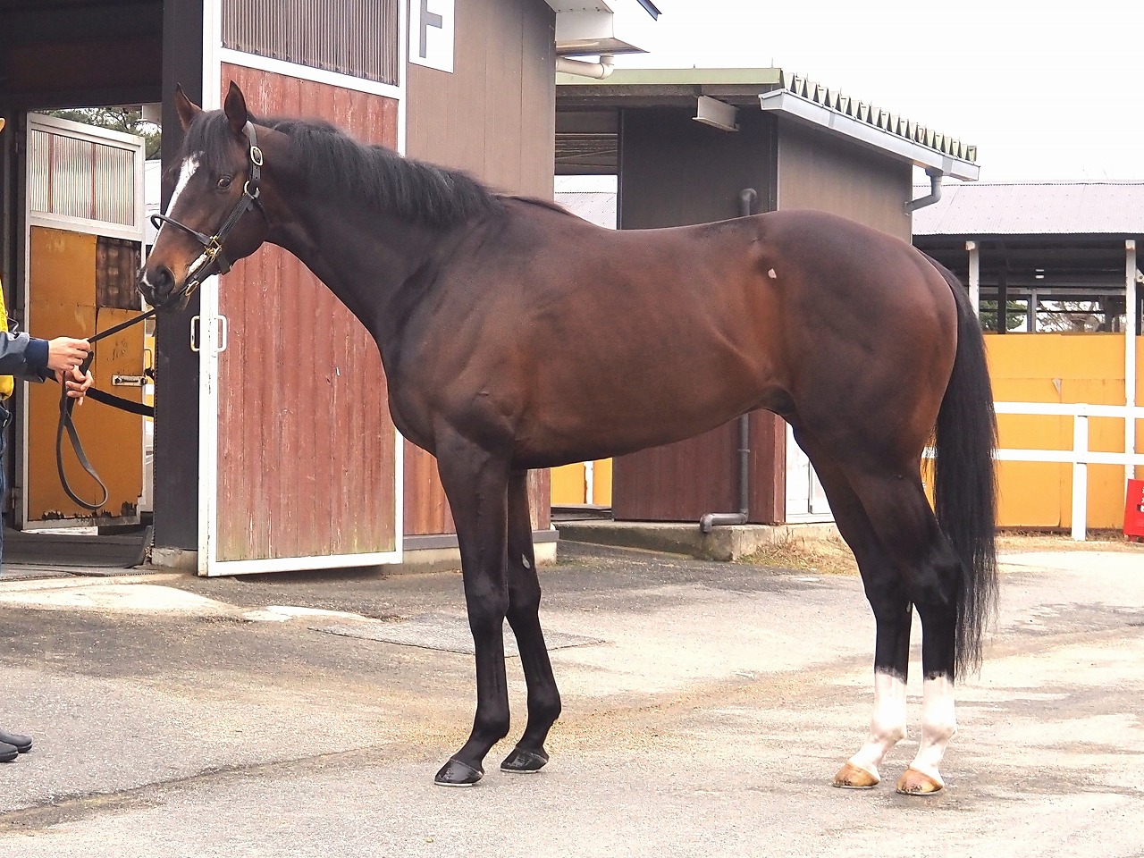 画像サムネイル