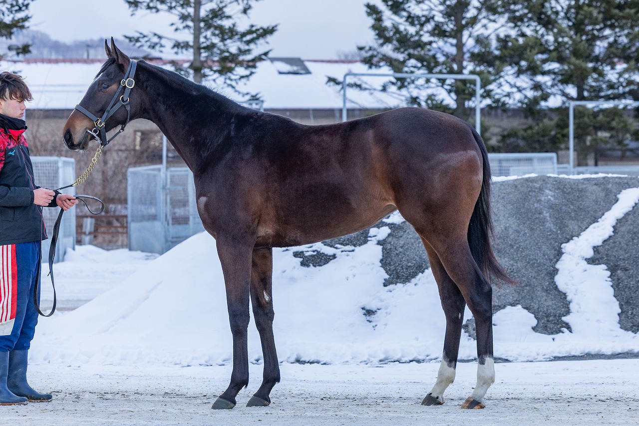 画像サムネイル