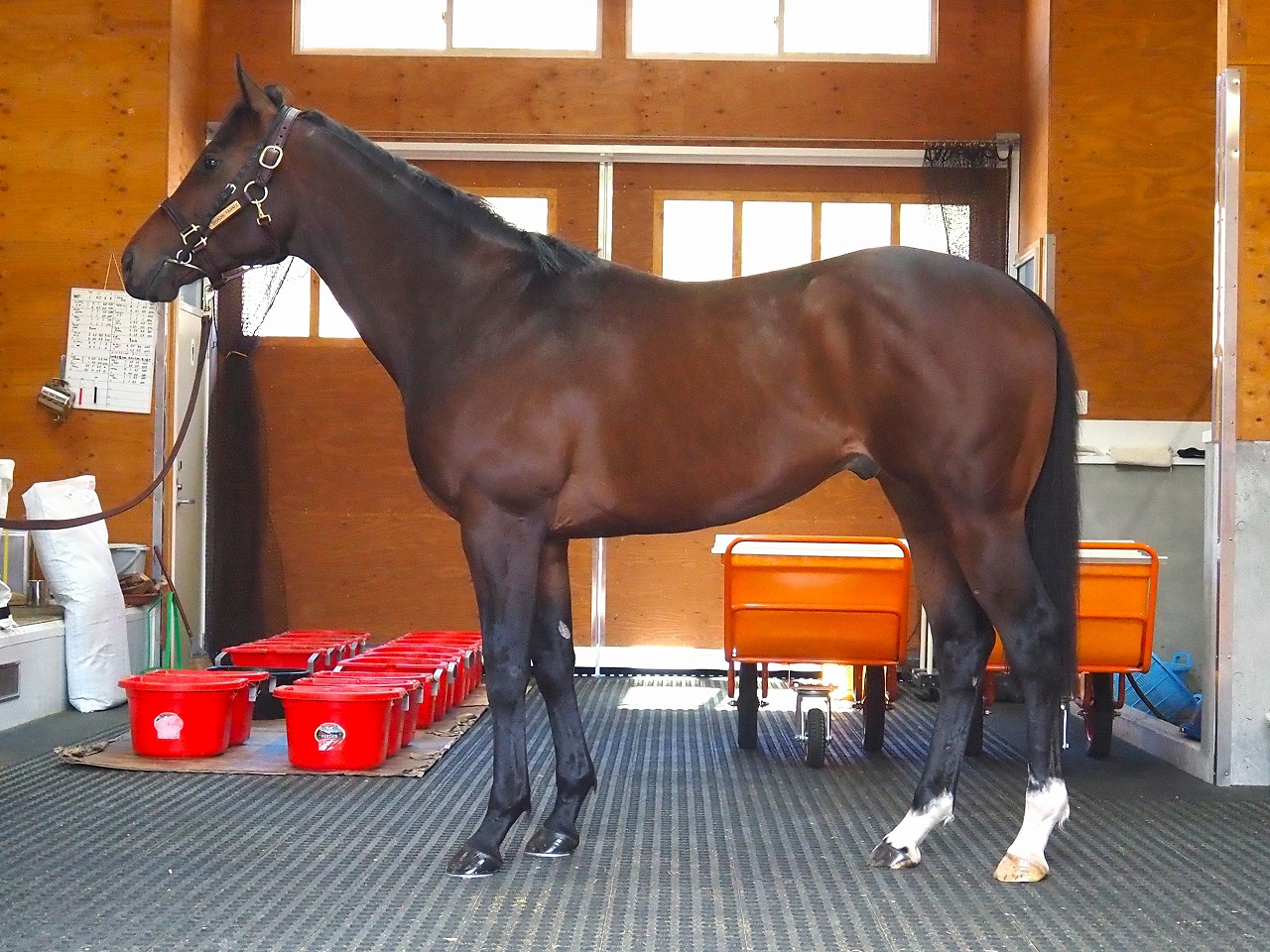 画像サムネイル