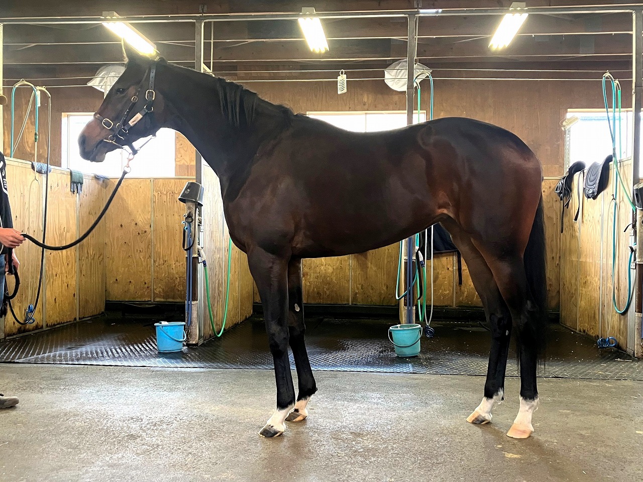 画像サムネイル