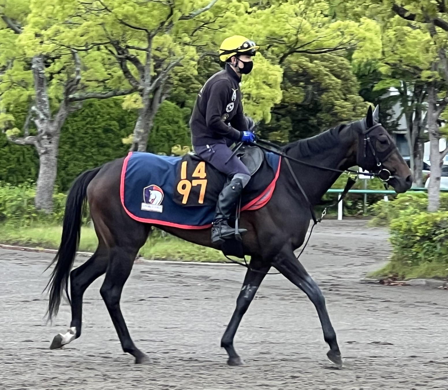 画像サムネイル