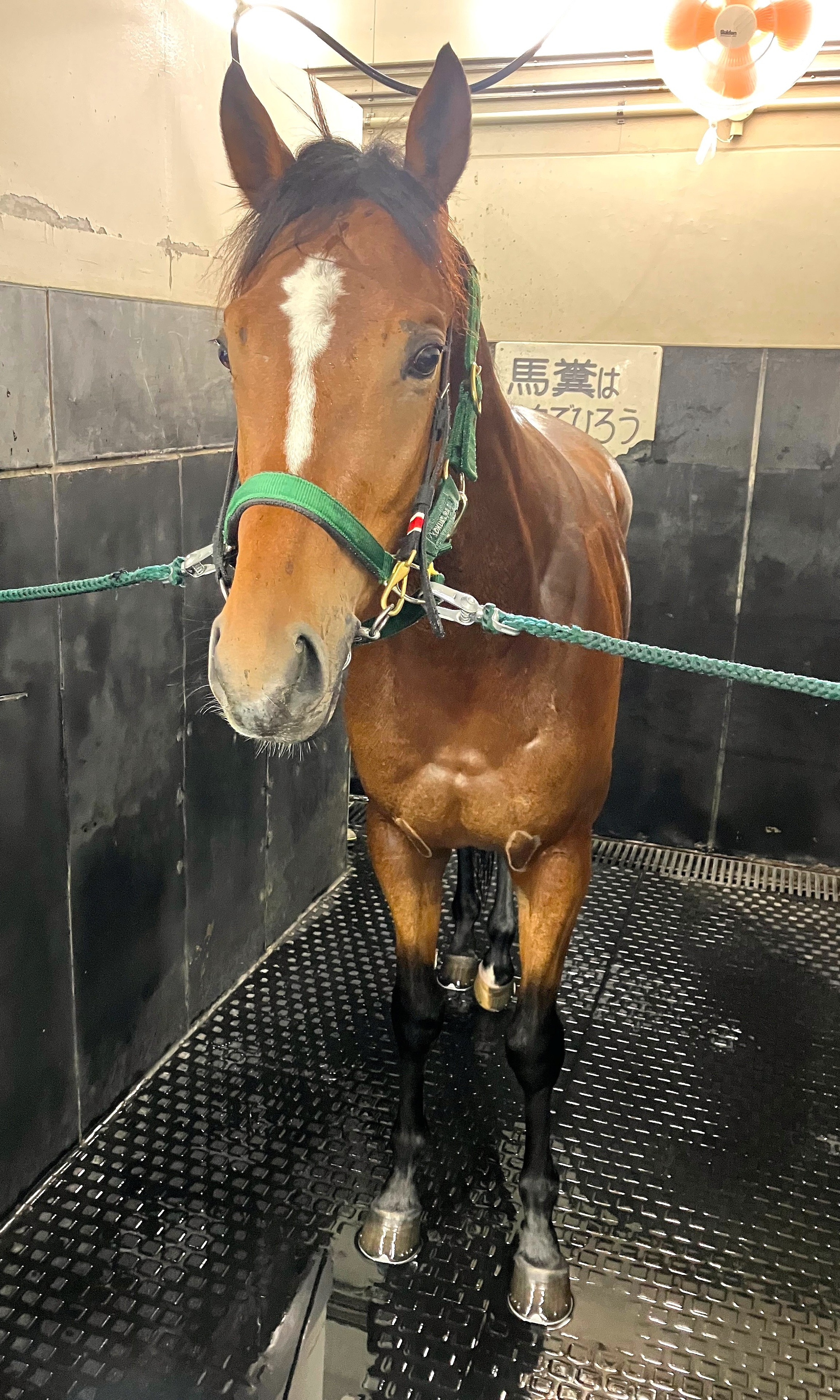 画像サムネイル