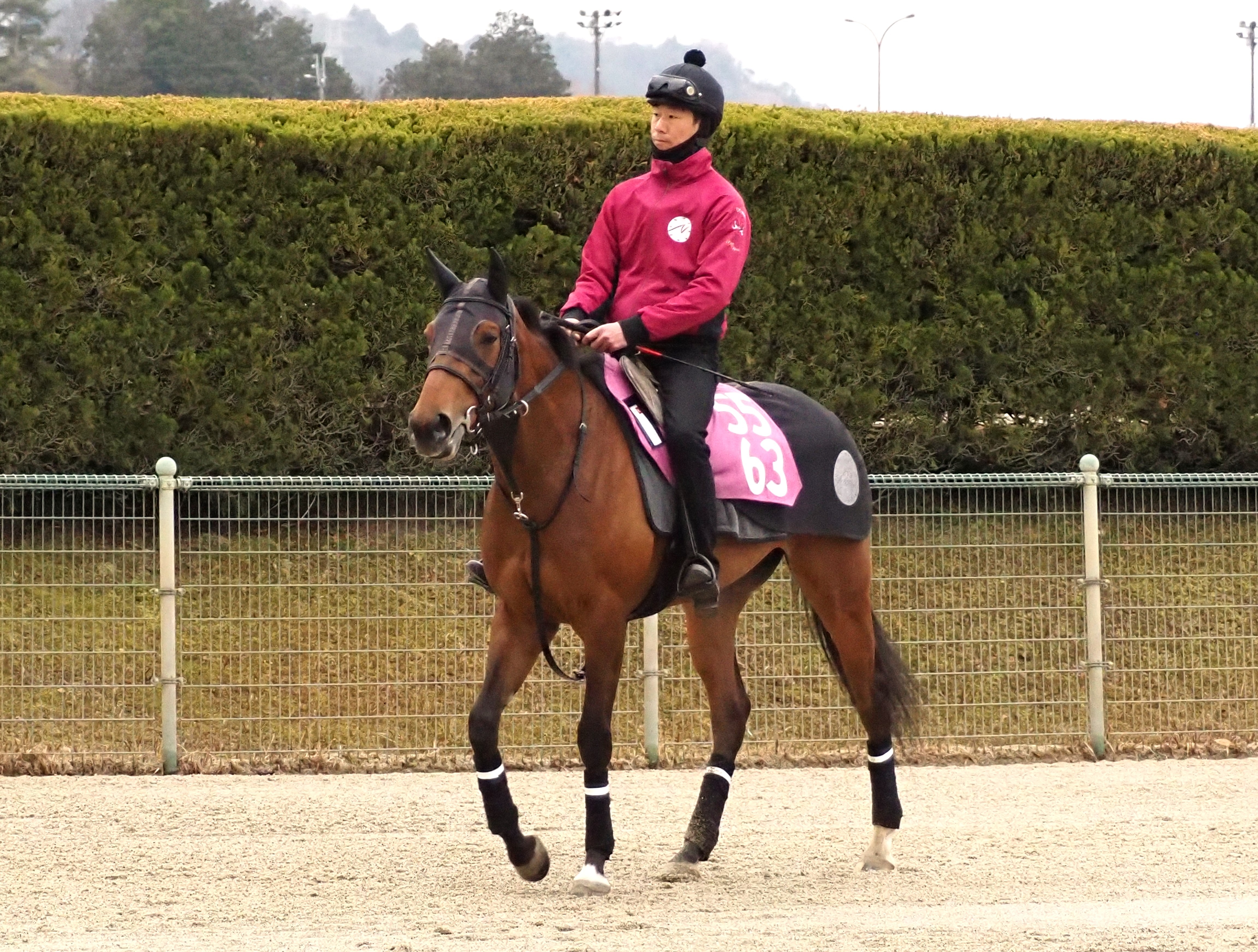 画像サムネイル