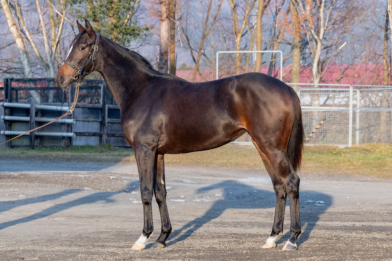 画像サムネイル