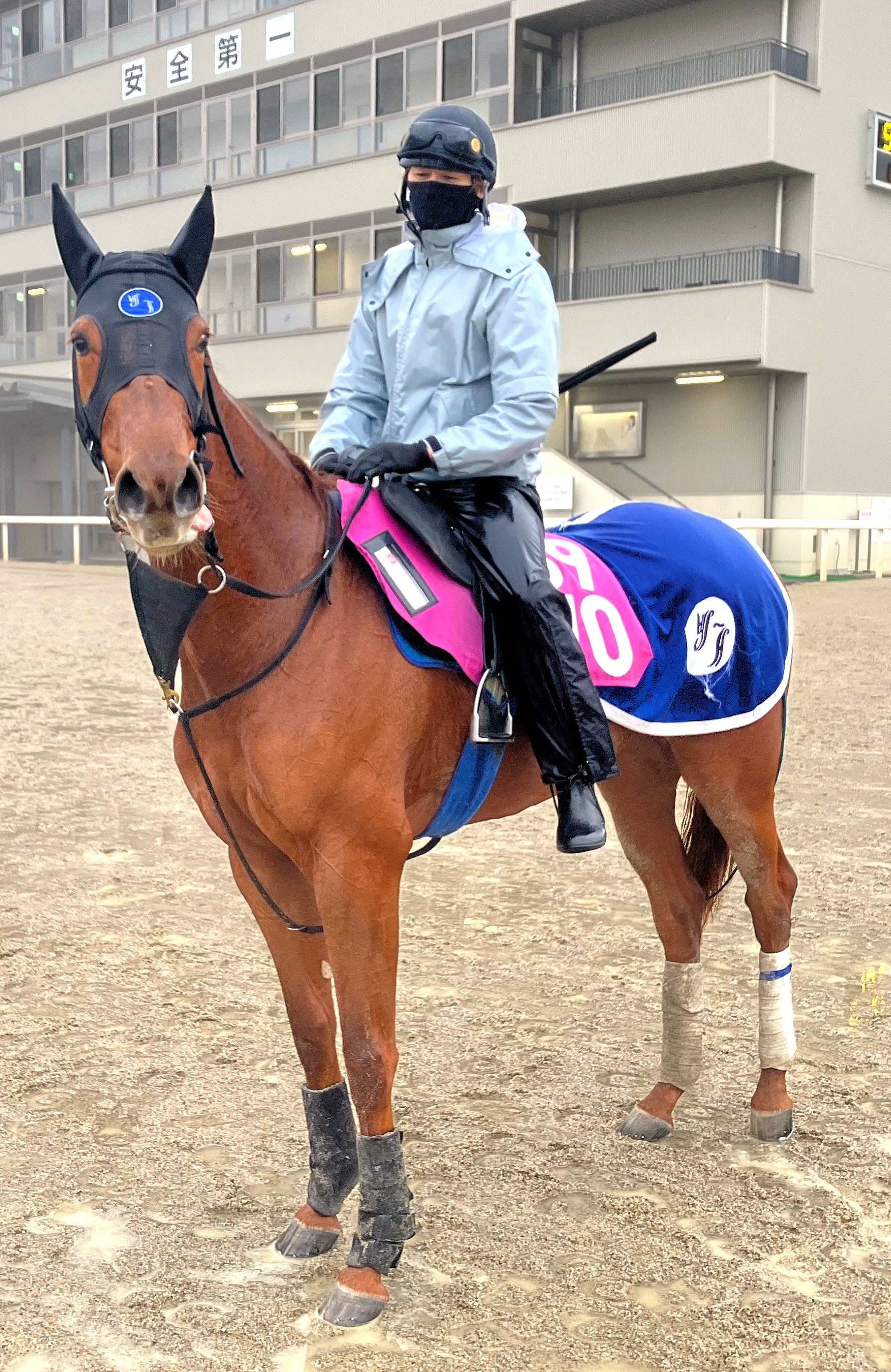 画像サムネイル