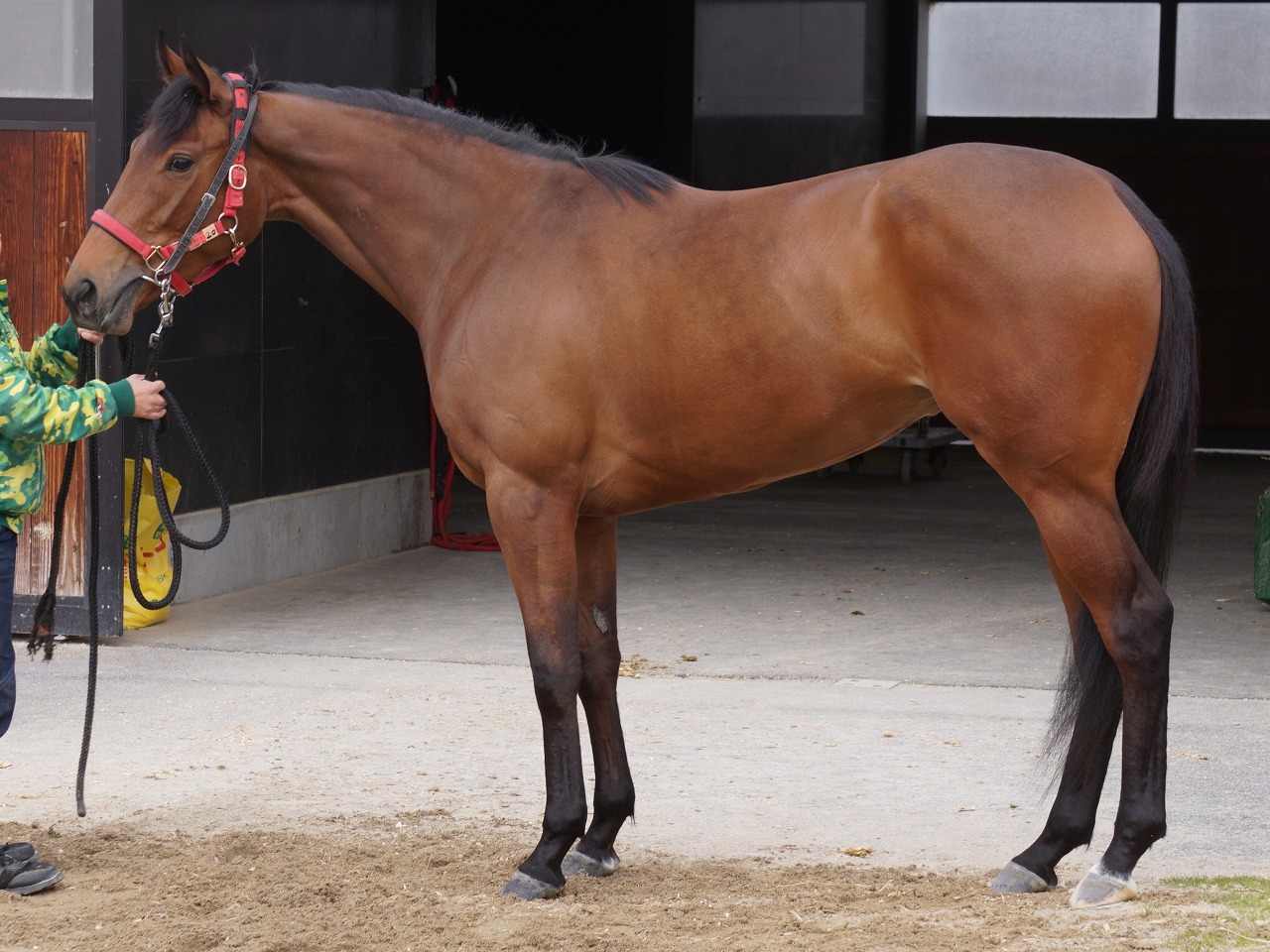 画像サムネイル