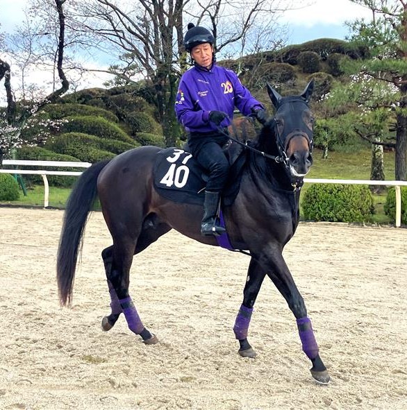 画像サムネイル