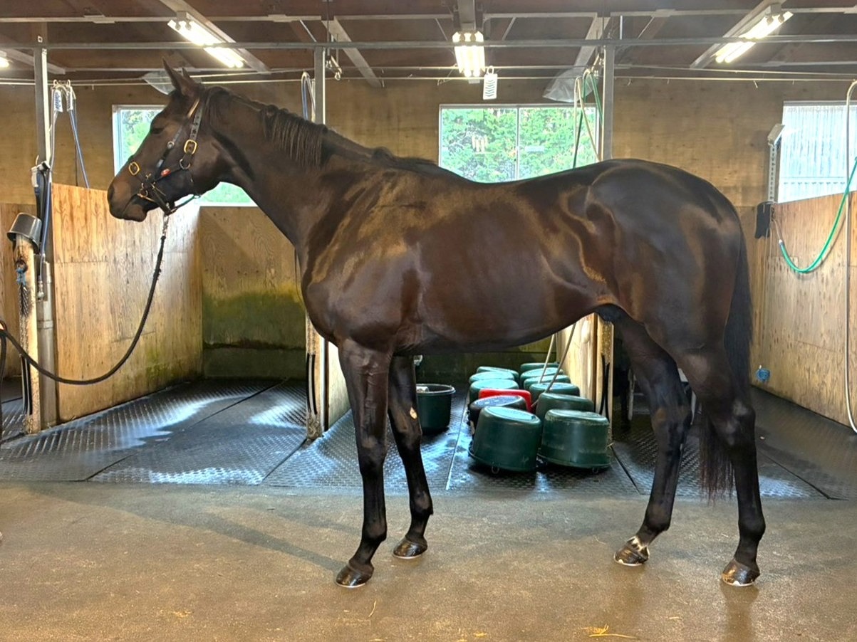 画像サムネイル