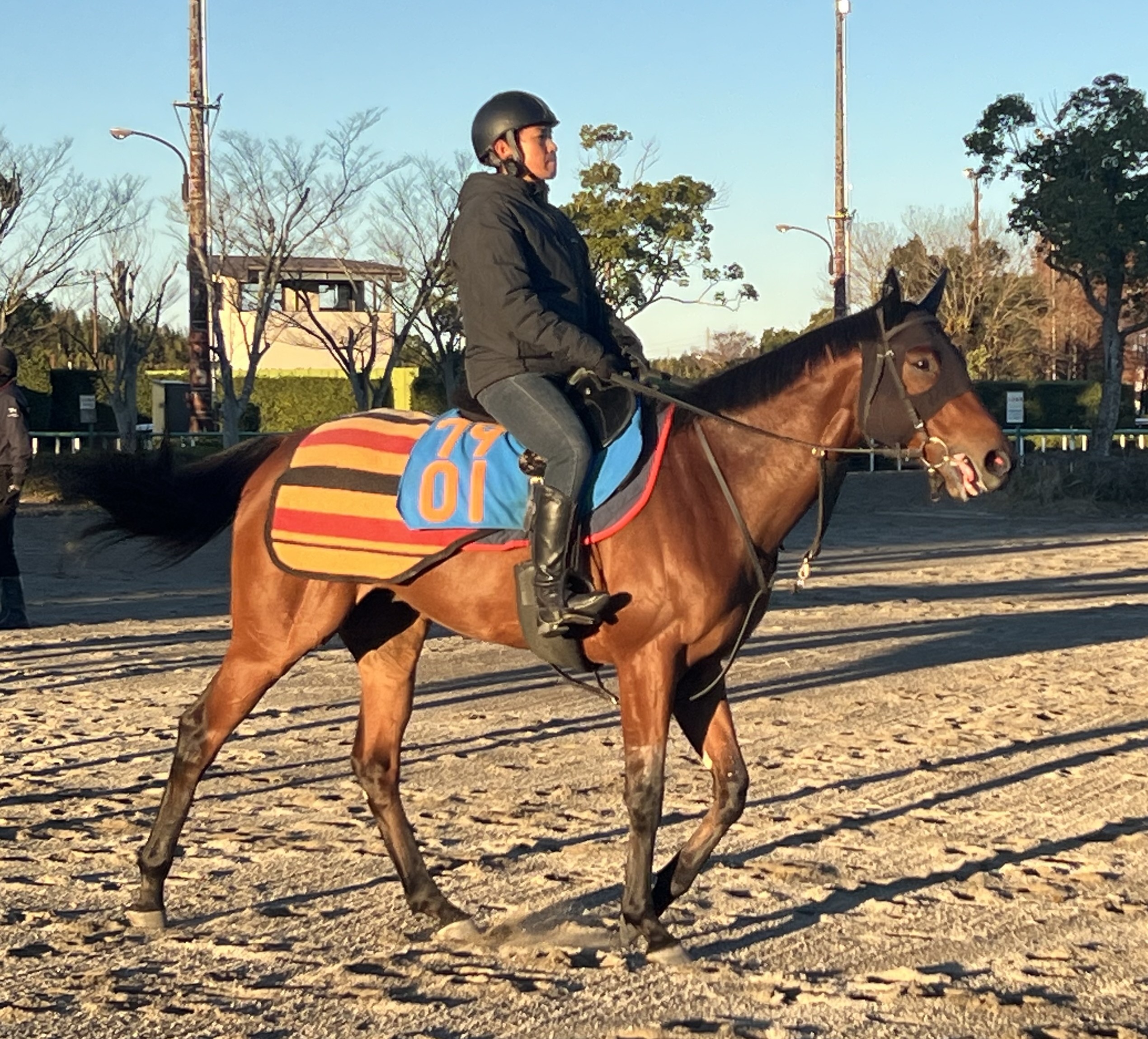 画像サムネイル