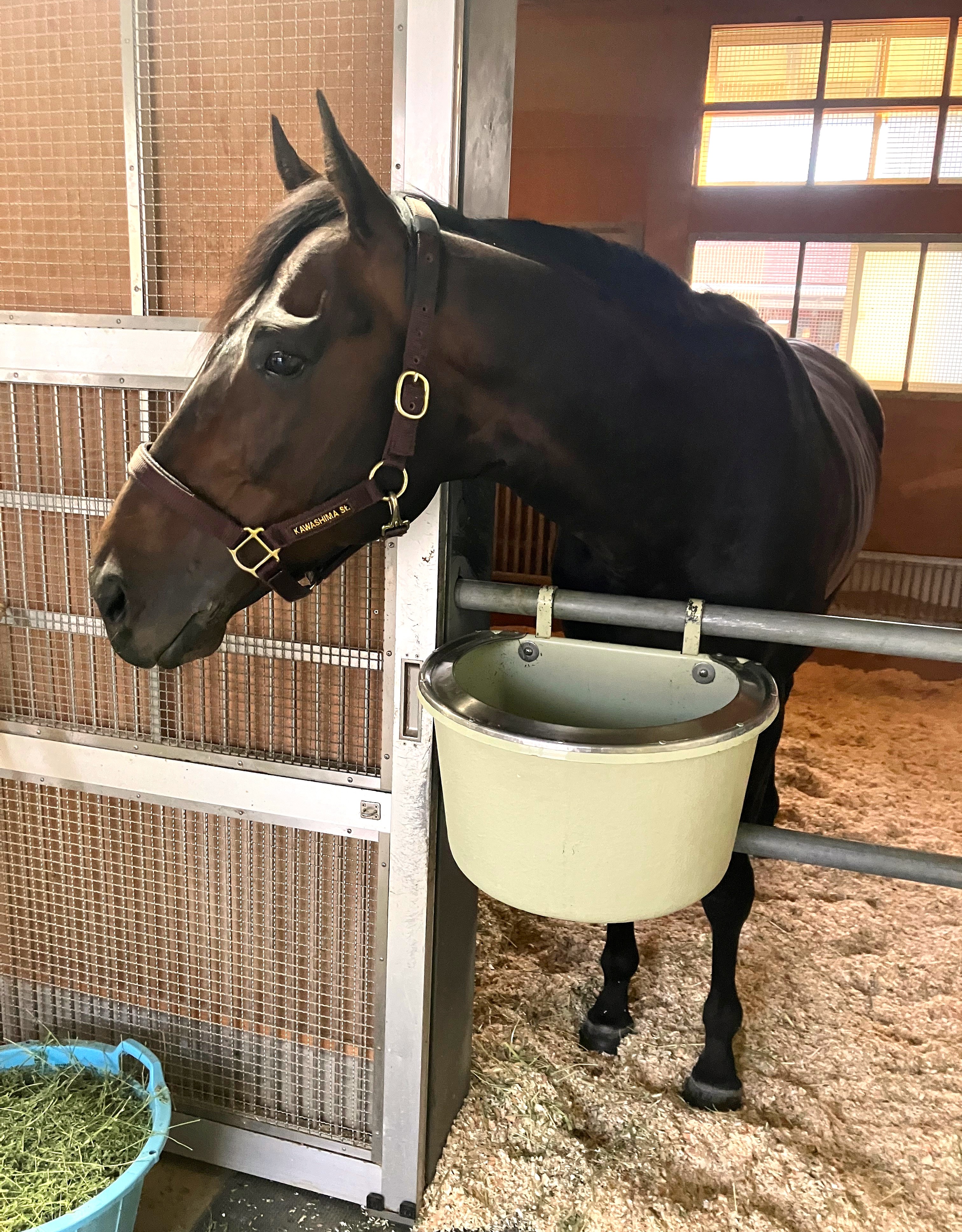 画像サムネイル