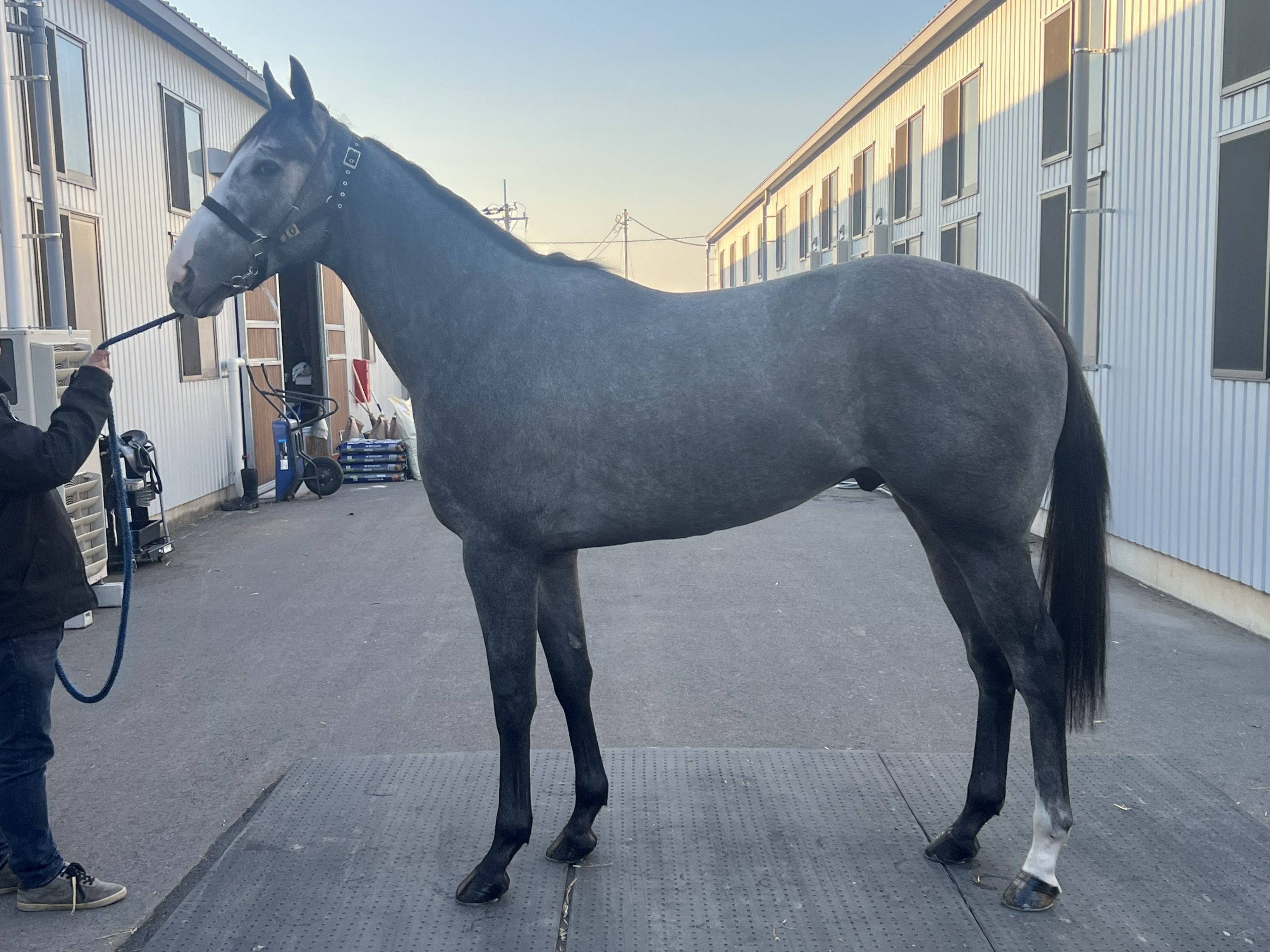 画像サムネイル