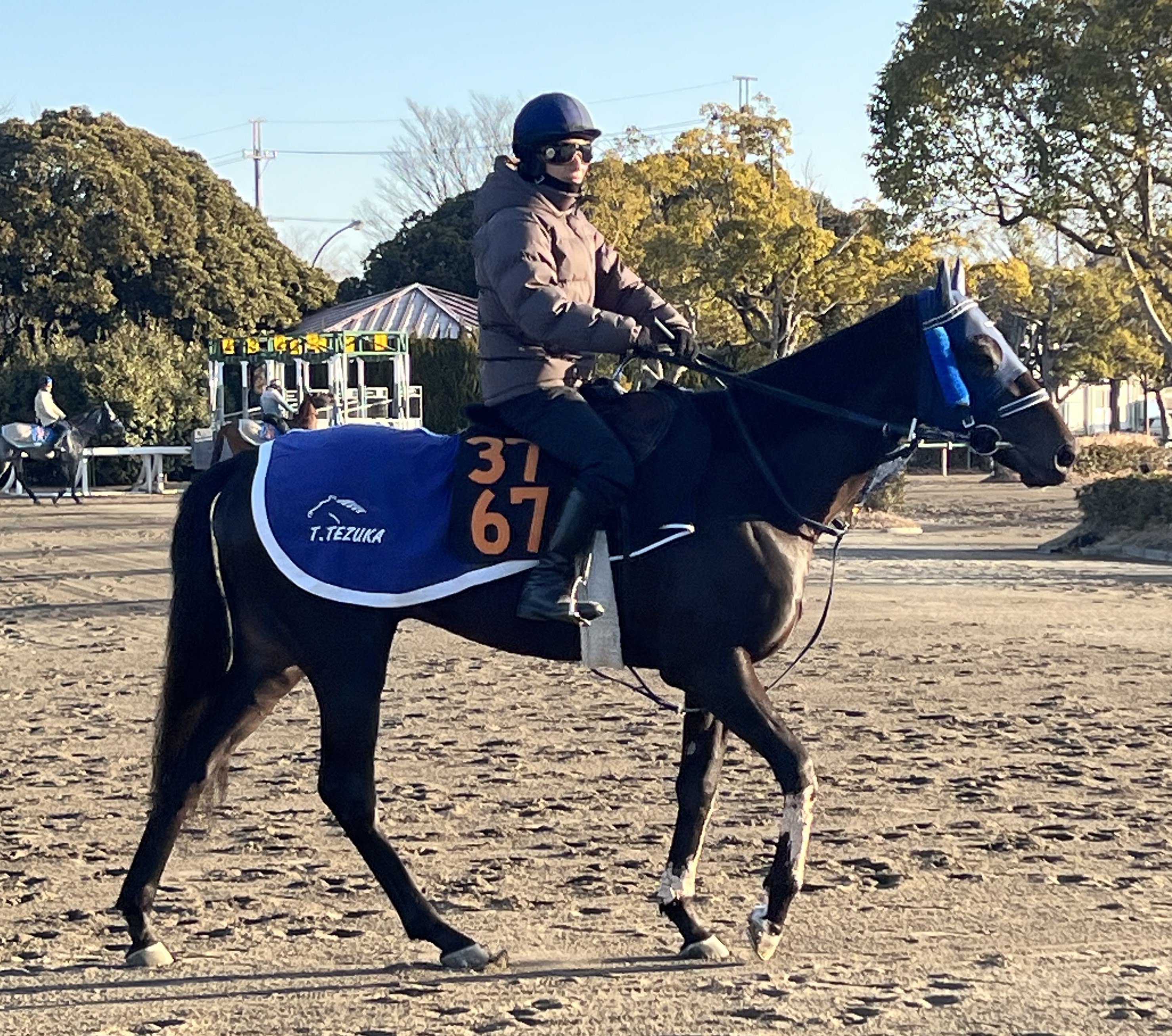 画像サムネイル