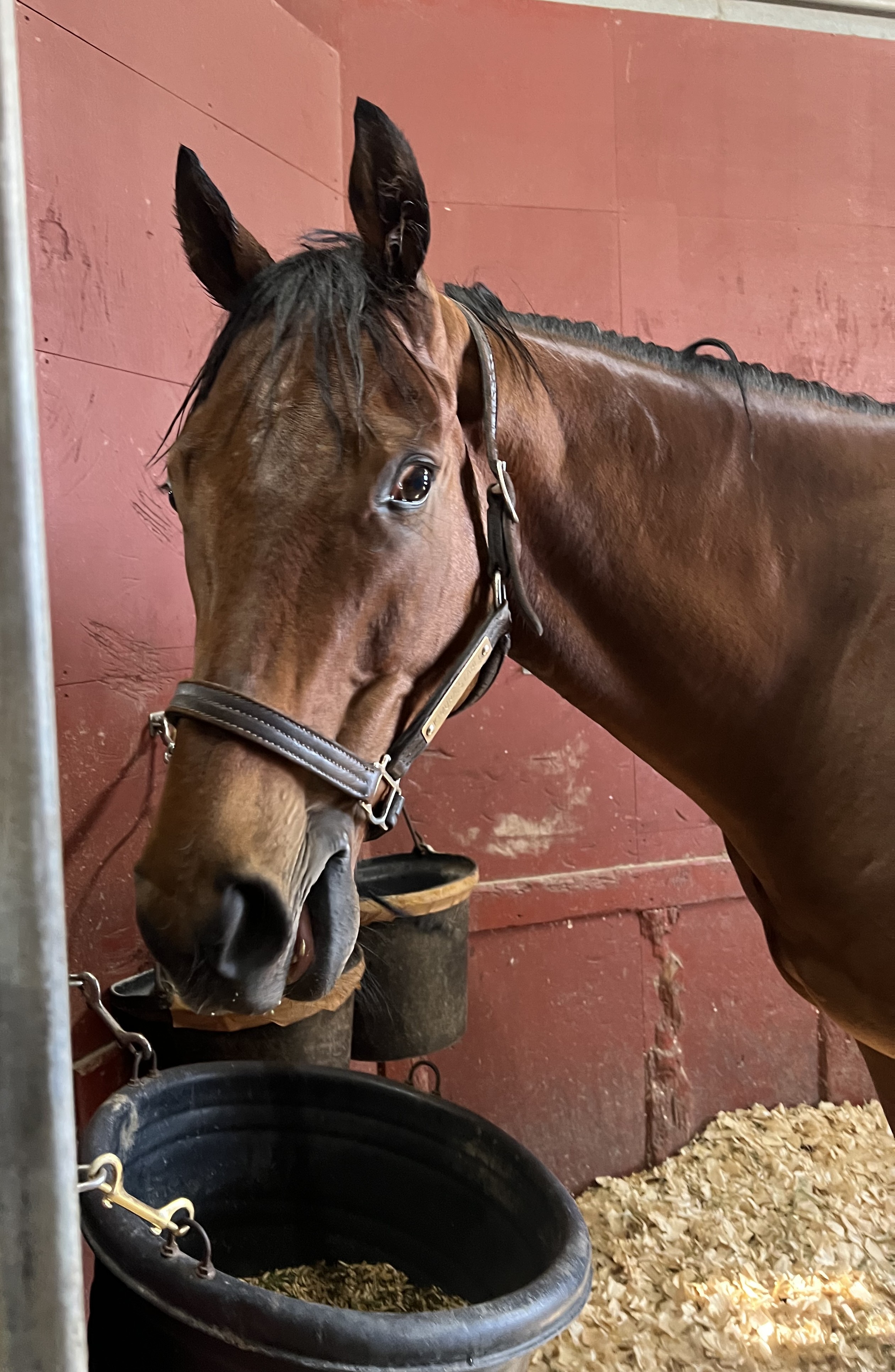 画像サムネイル