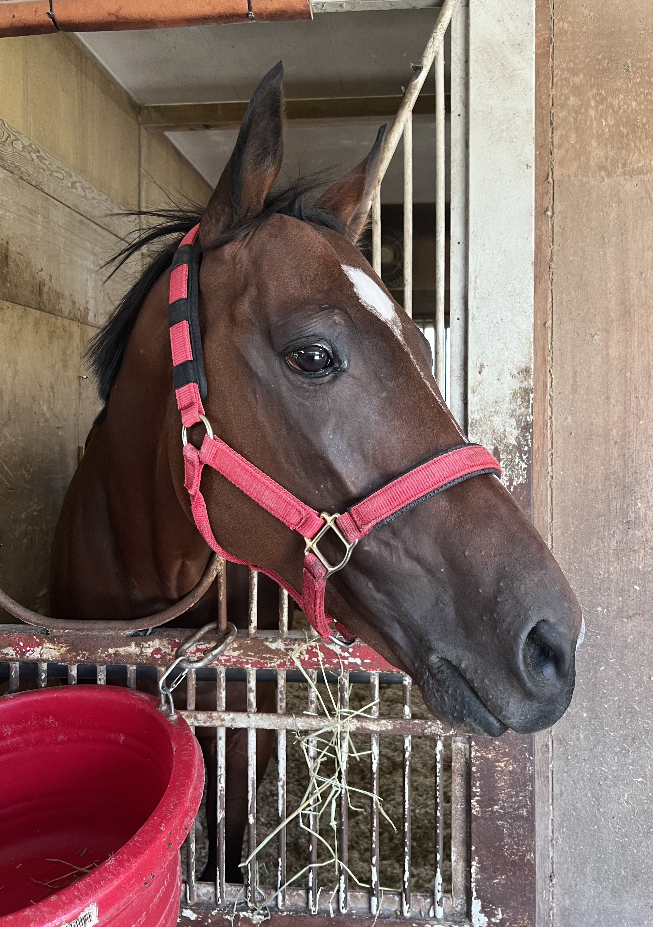 画像サムネイル