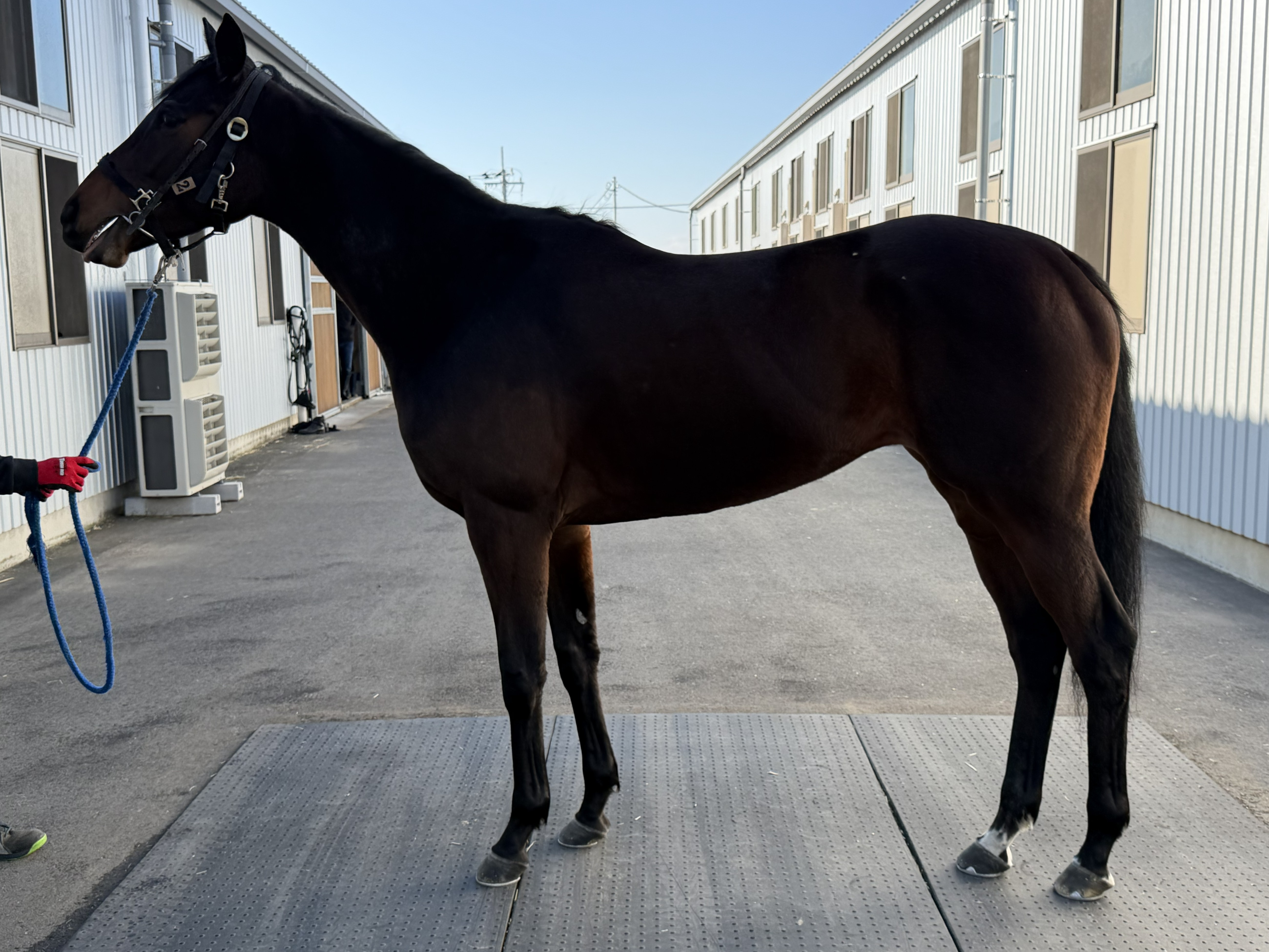 画像サムネイル