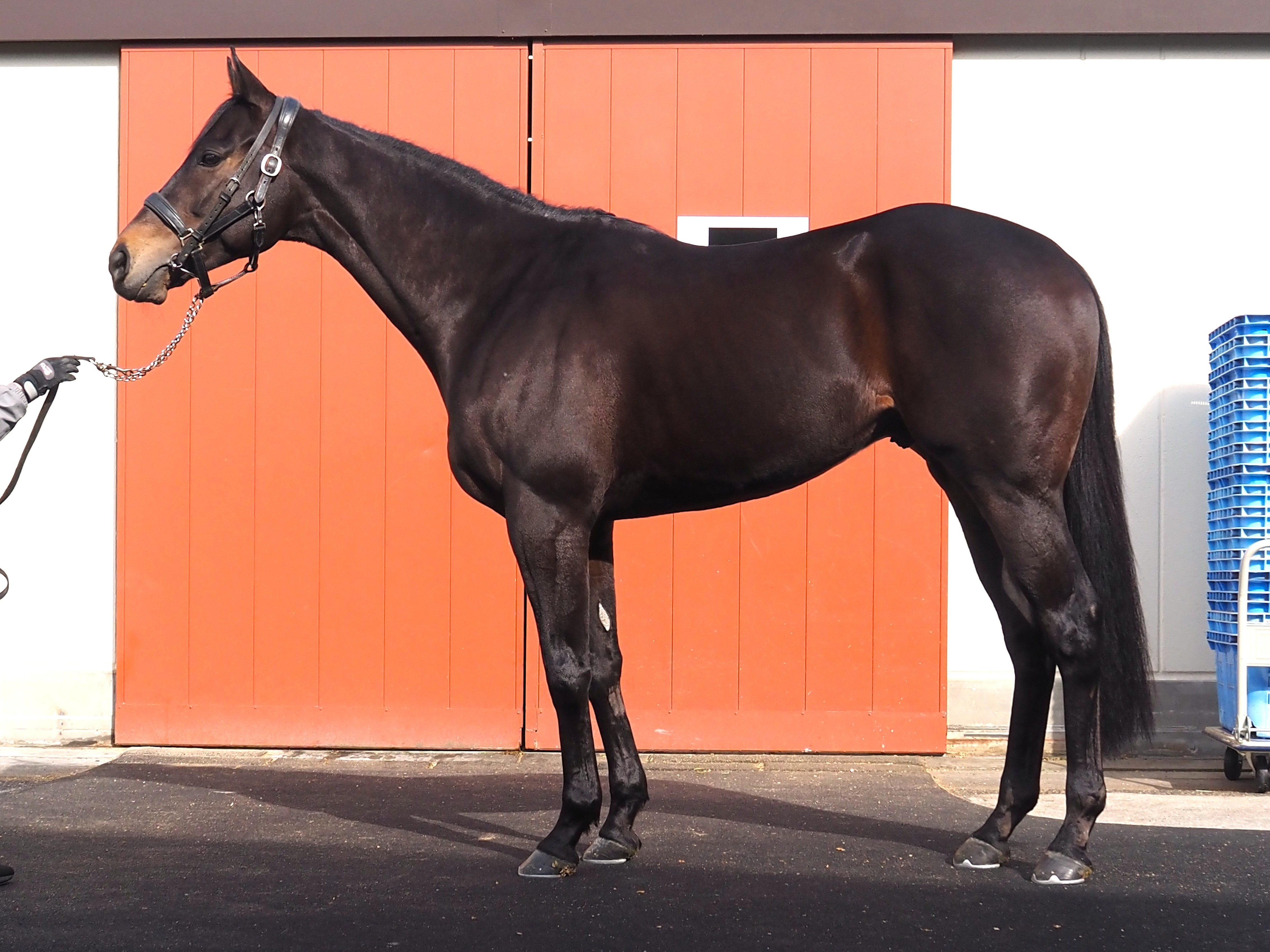 画像サムネイル