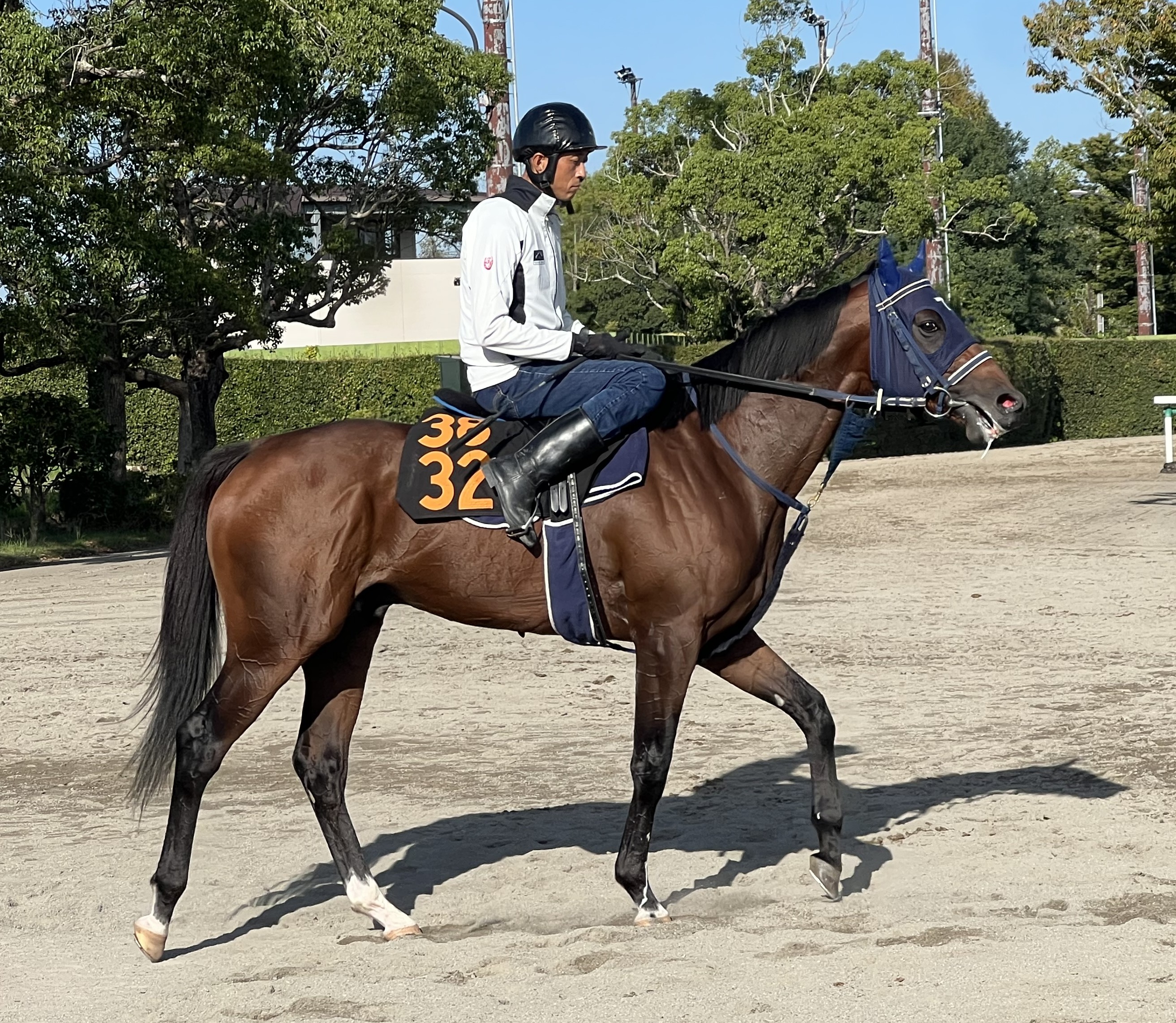 画像サムネイル