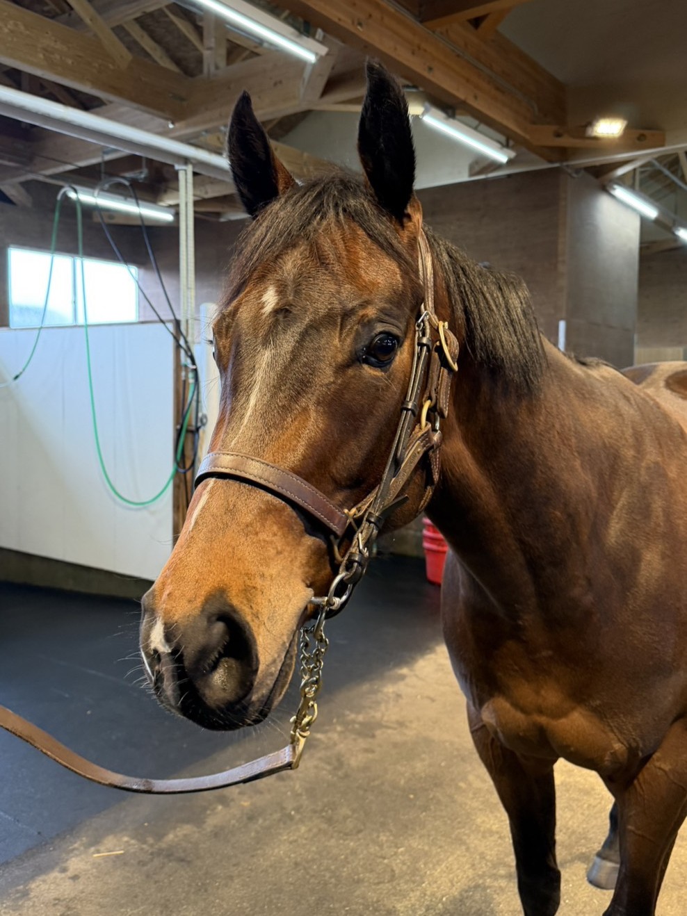 画像サムネイル