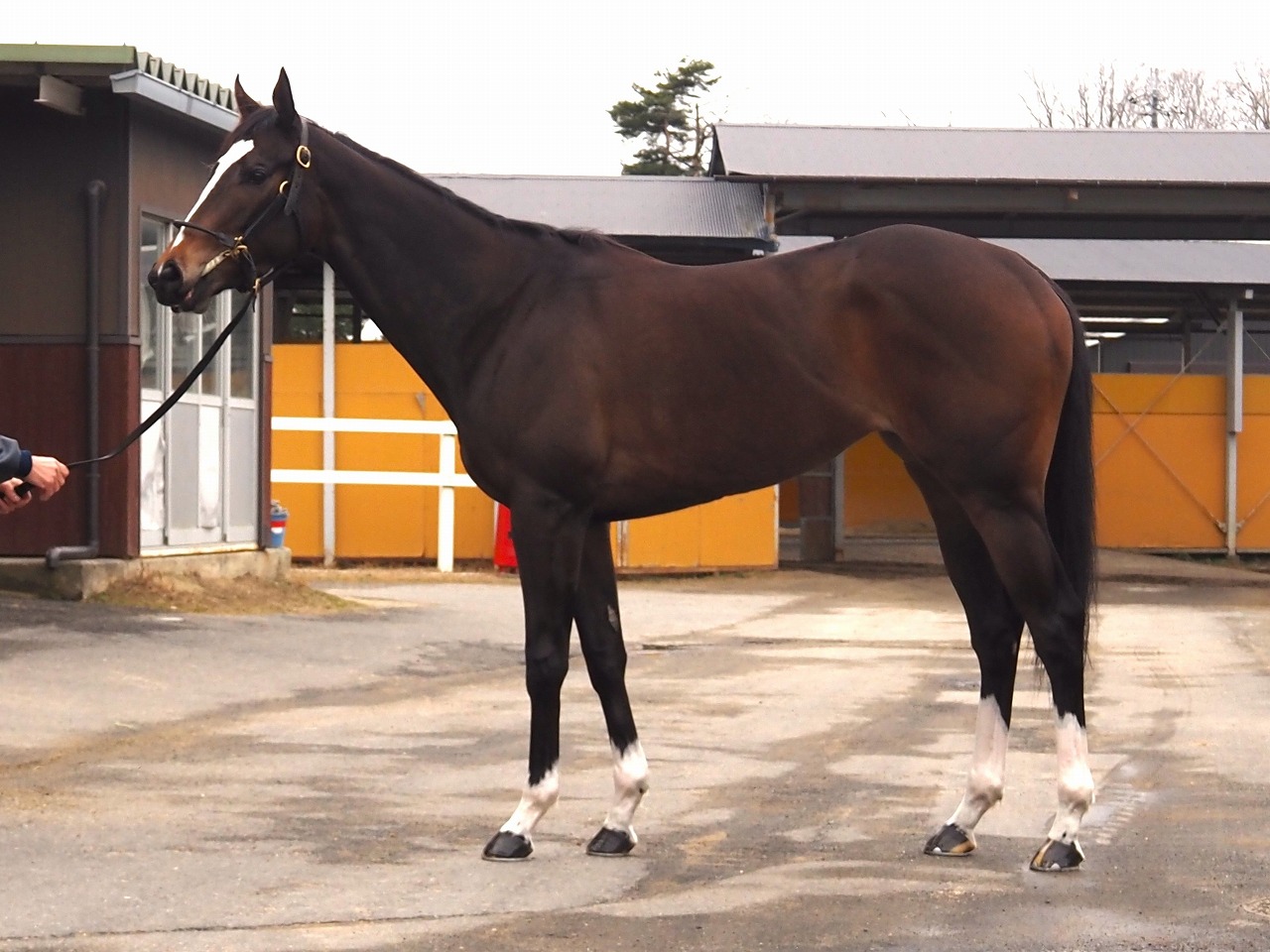 画像サムネイル