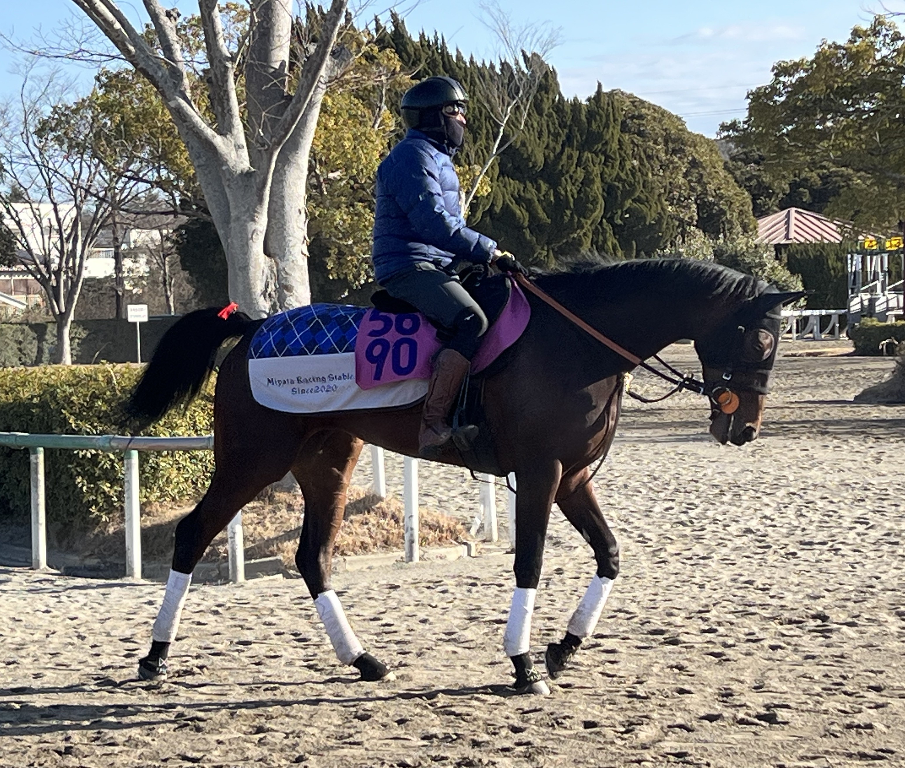 画像サムネイル