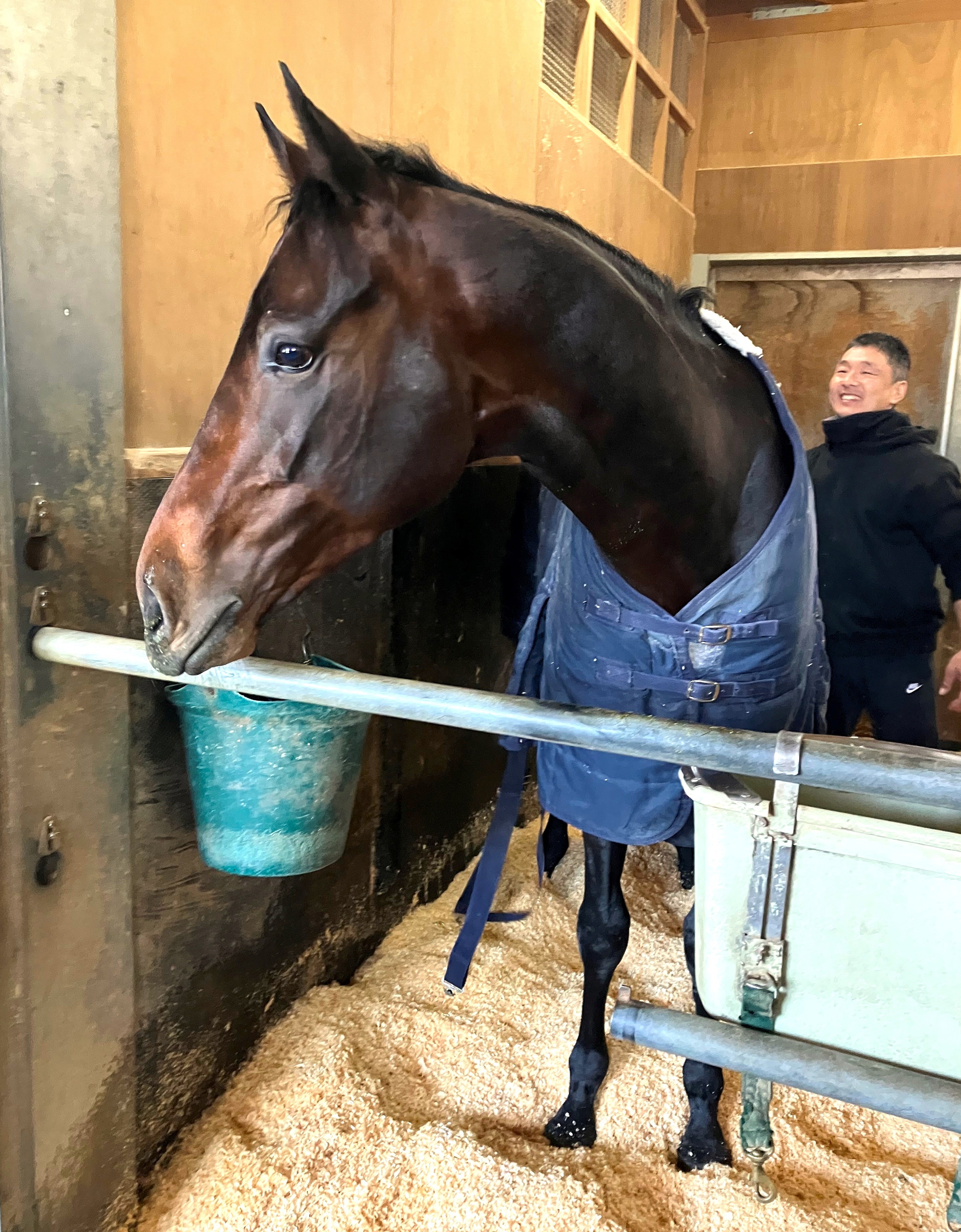 画像サムネイル