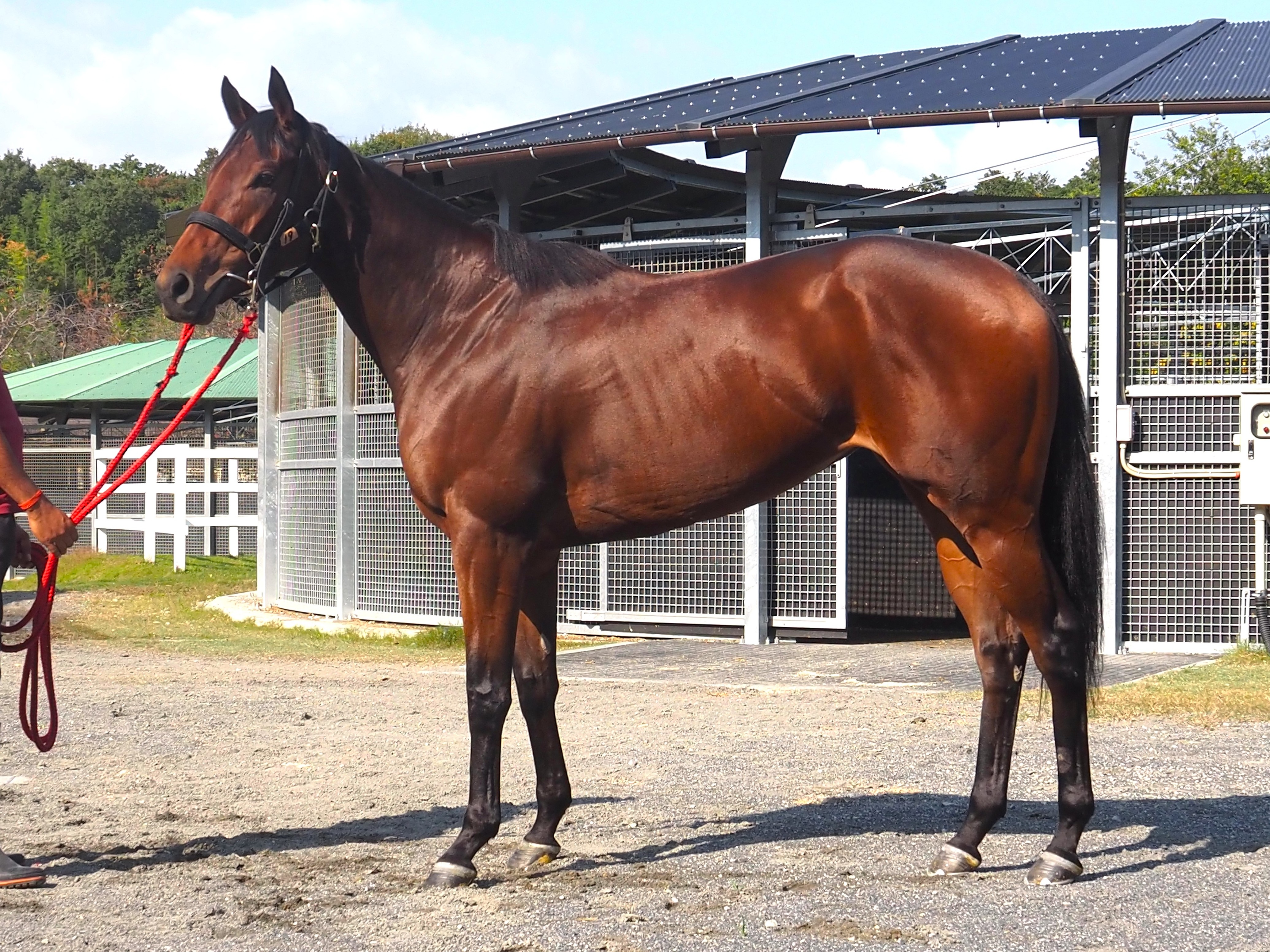 画像サムネイル