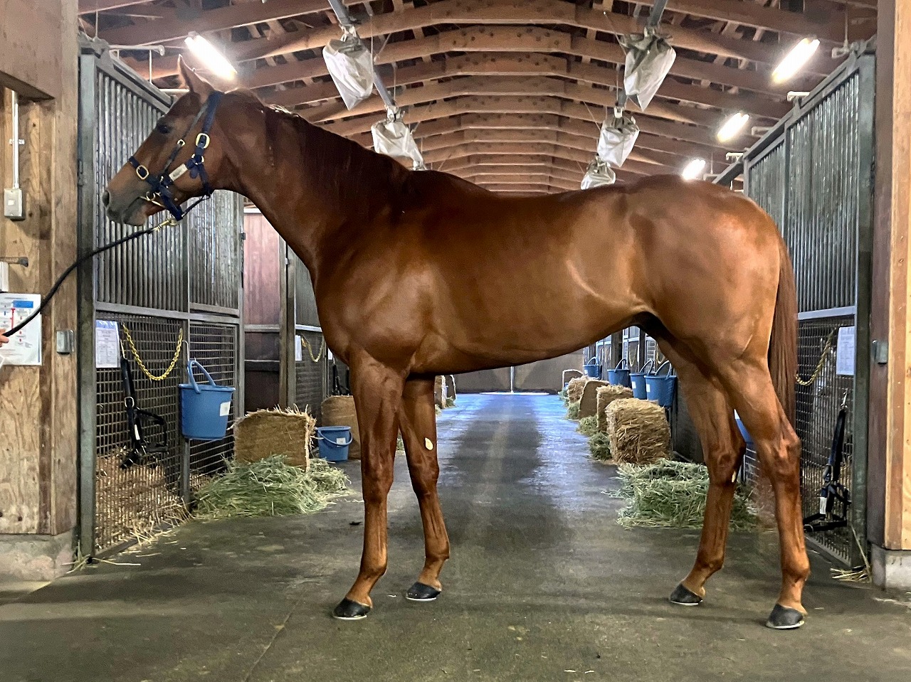 画像サムネイル