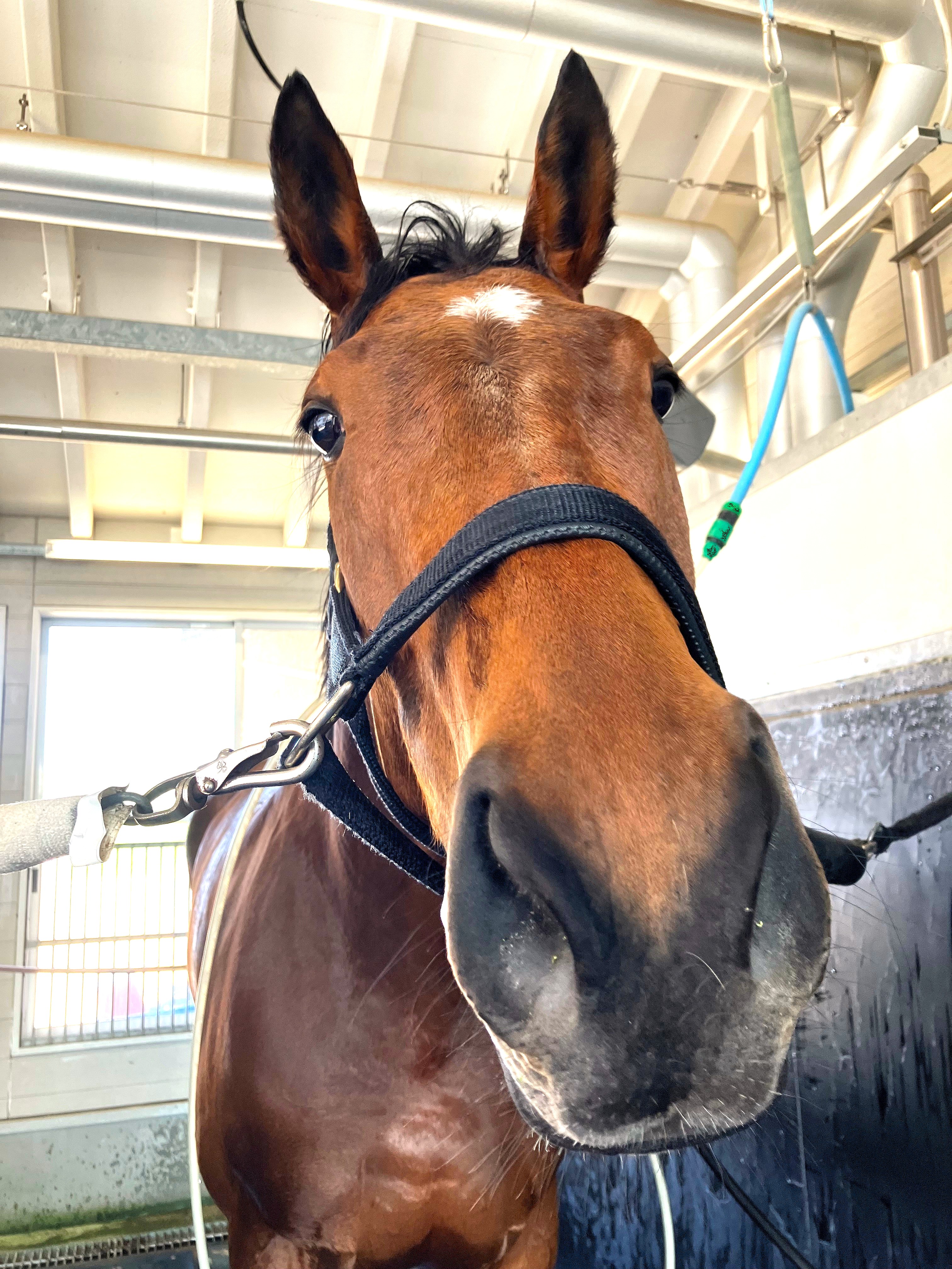 画像サムネイル