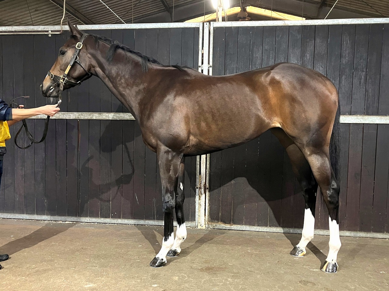 画像サムネイル