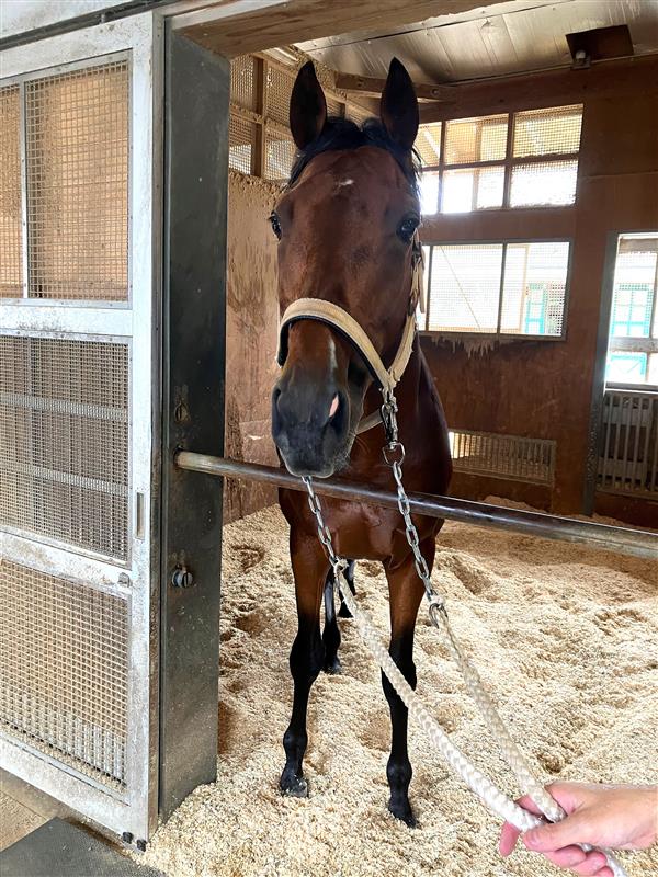 画像サムネイル