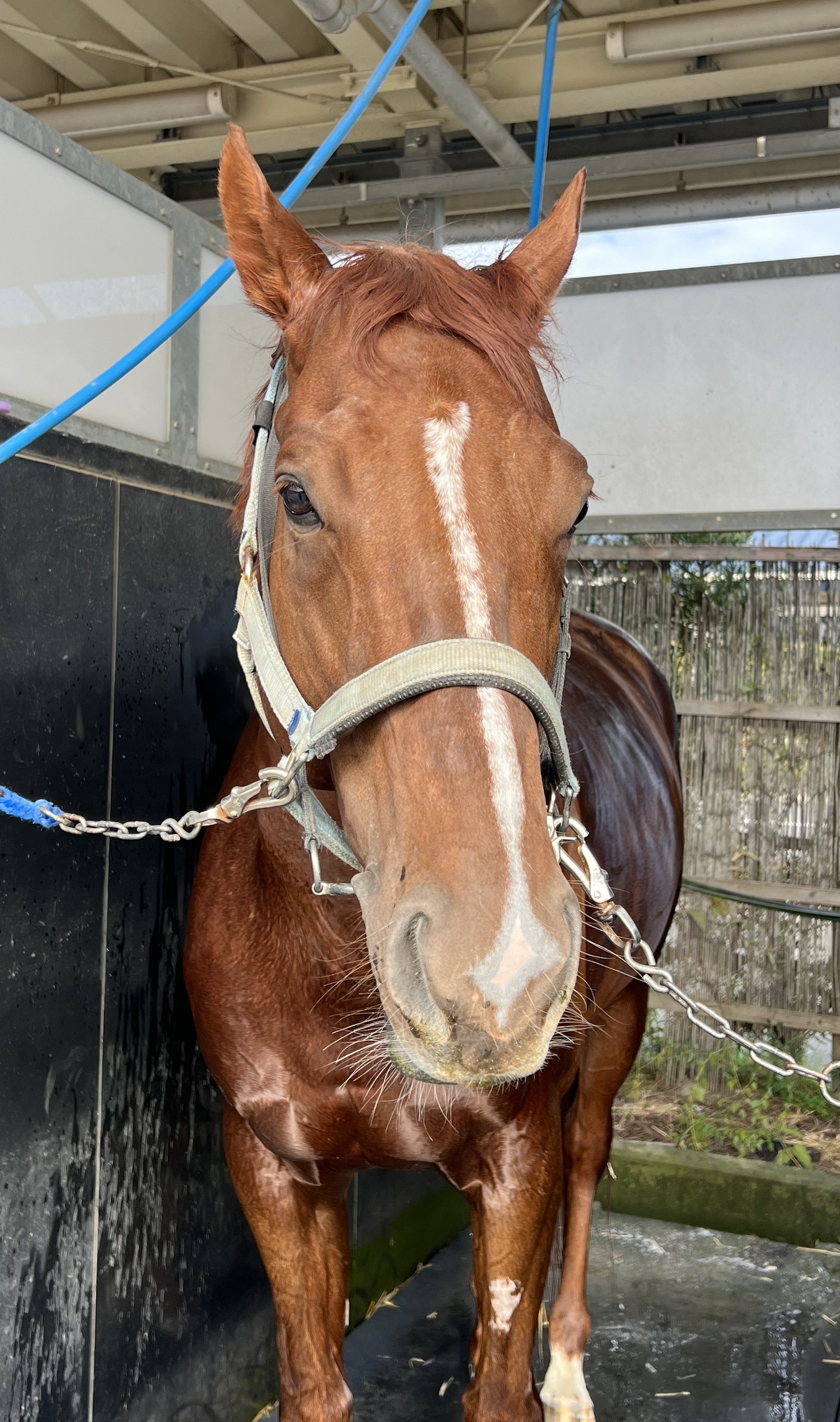 画像サムネイル